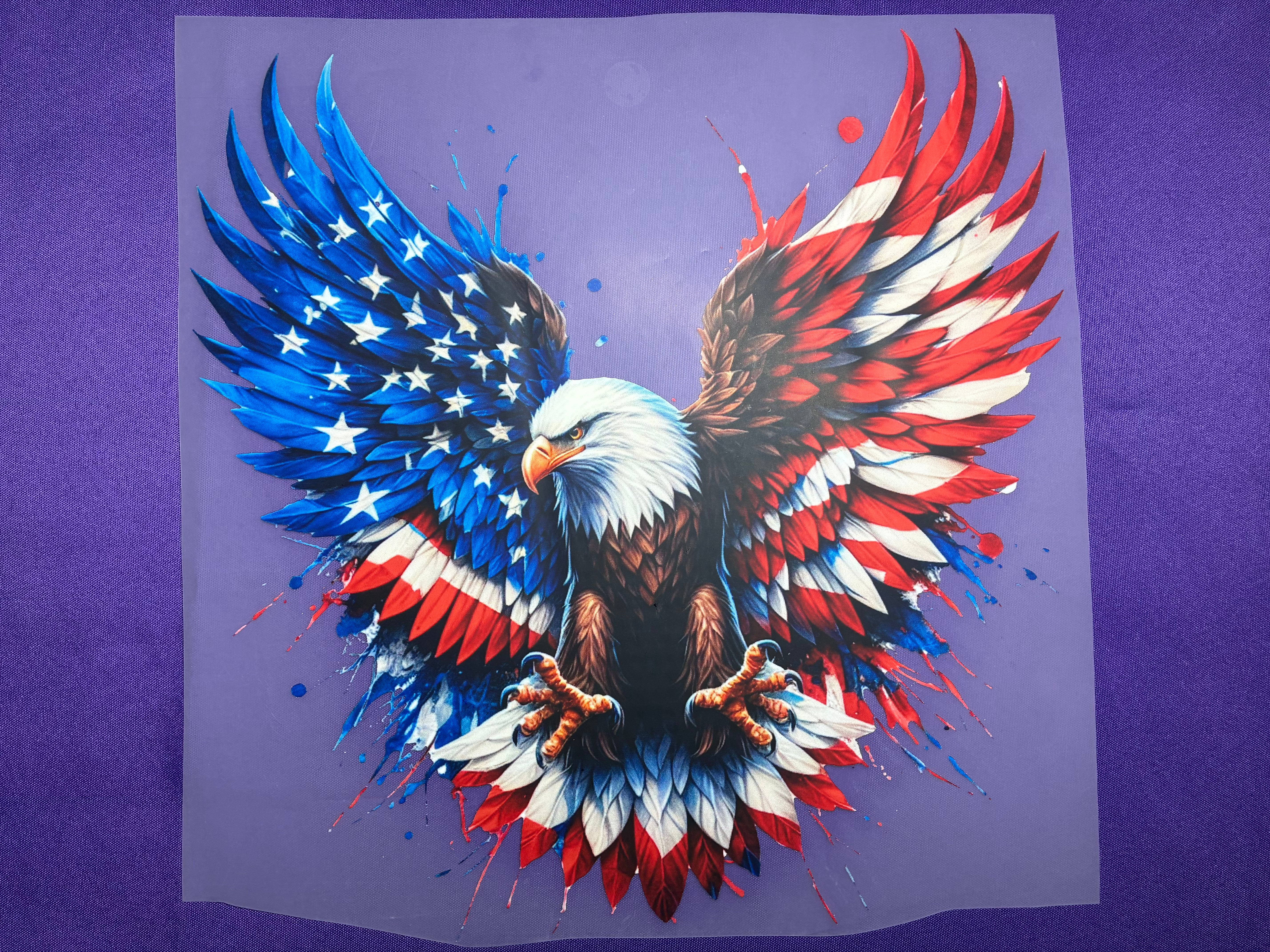 USA Eagle Shirt Transfer