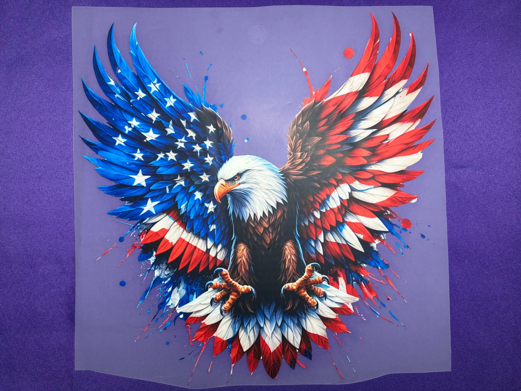 USA Eagle Shirt Transfer