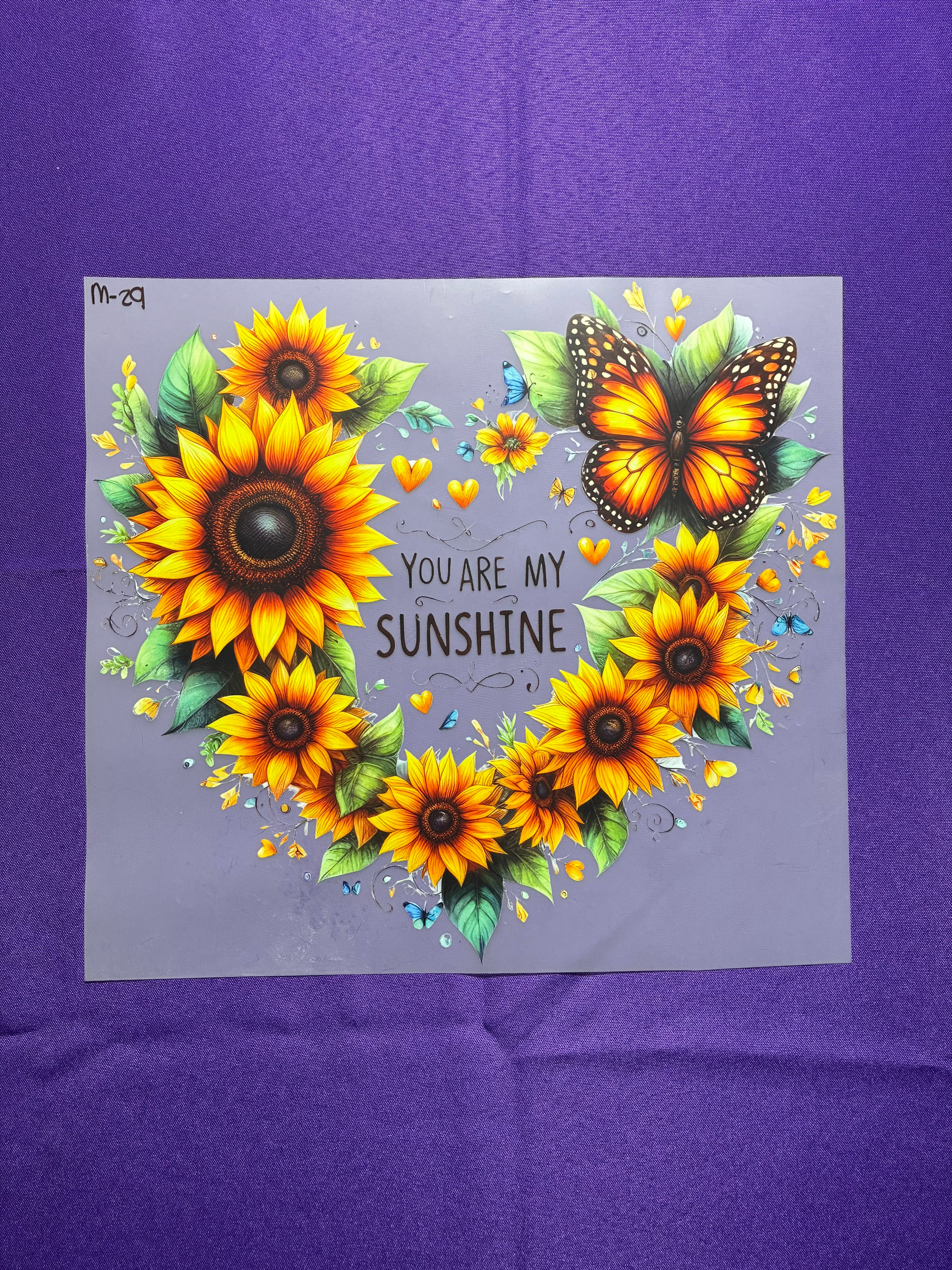 Sunshine Shirt Transfer
