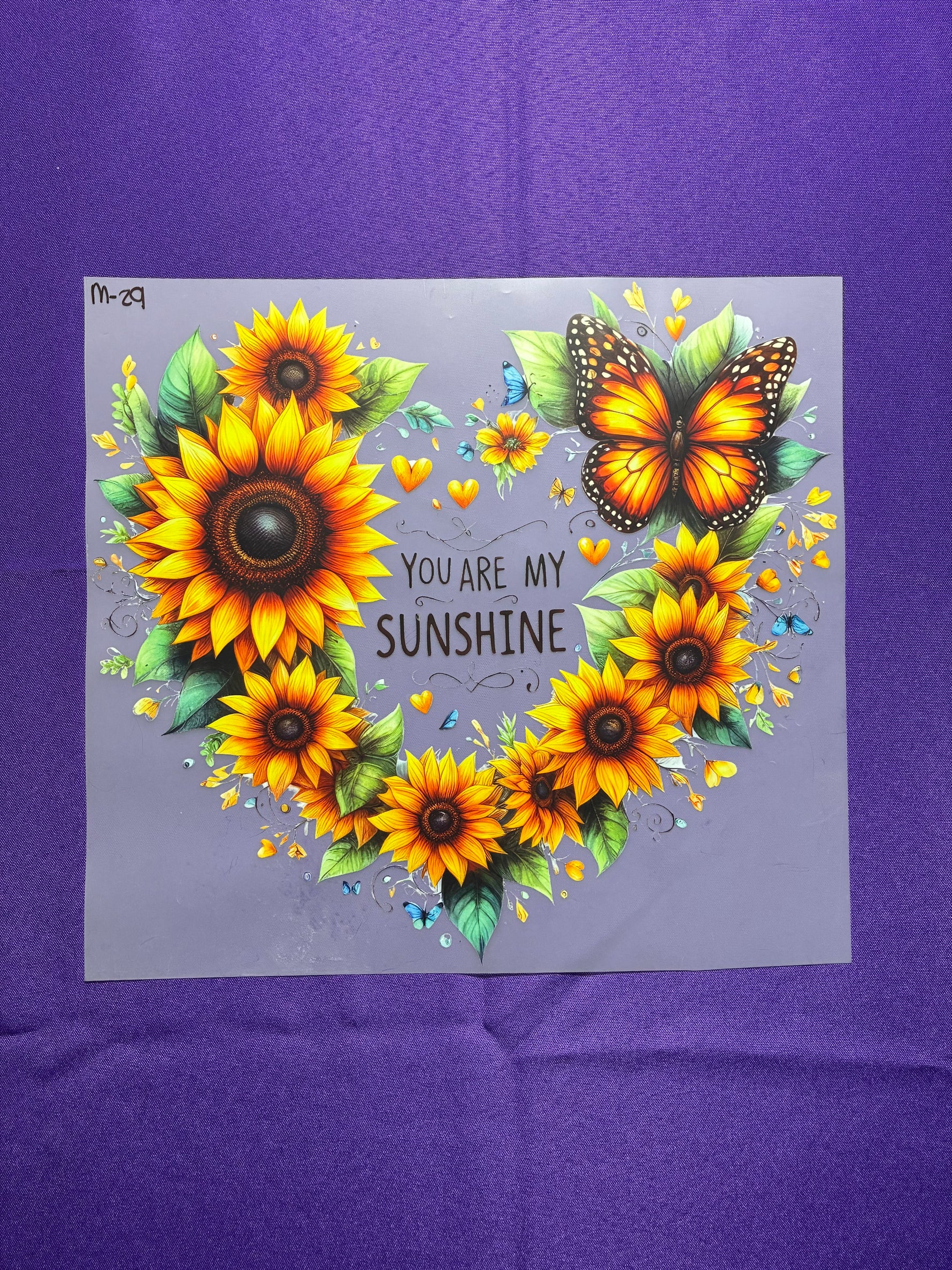 Sunshine Shirt Transfer