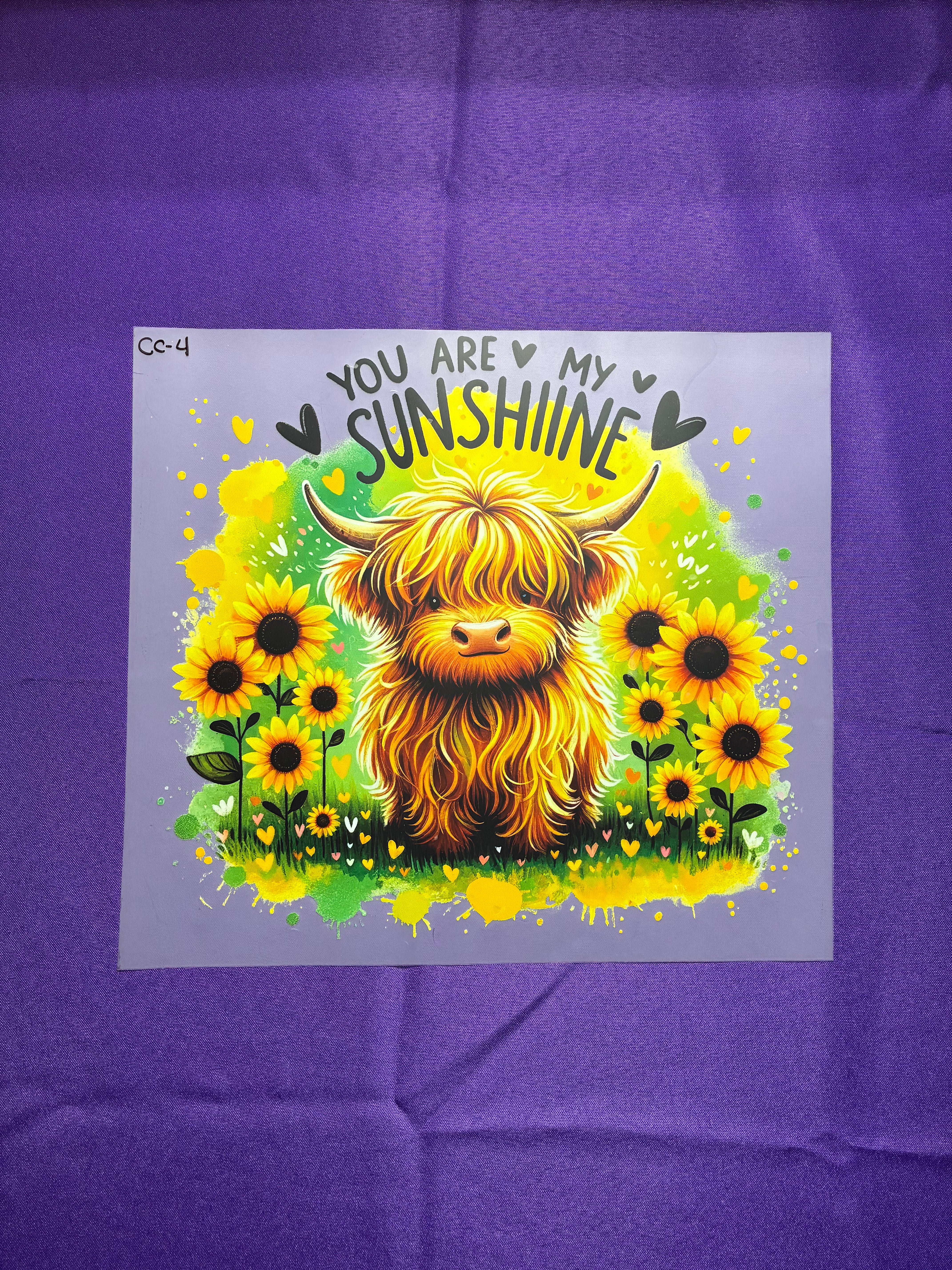 Sunshine Highland Cow #4 Shirt Transfer