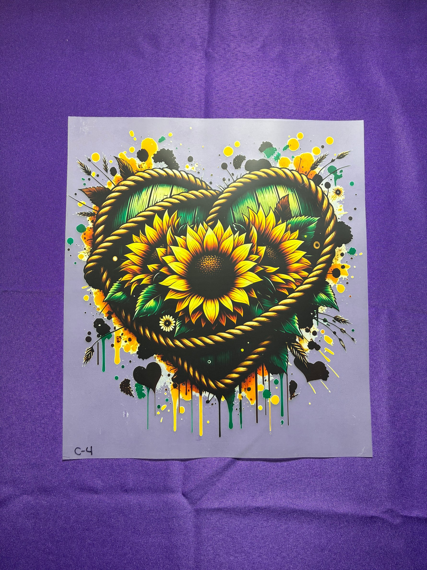 Western Heart with Ropes #4 Shirt Transfer
