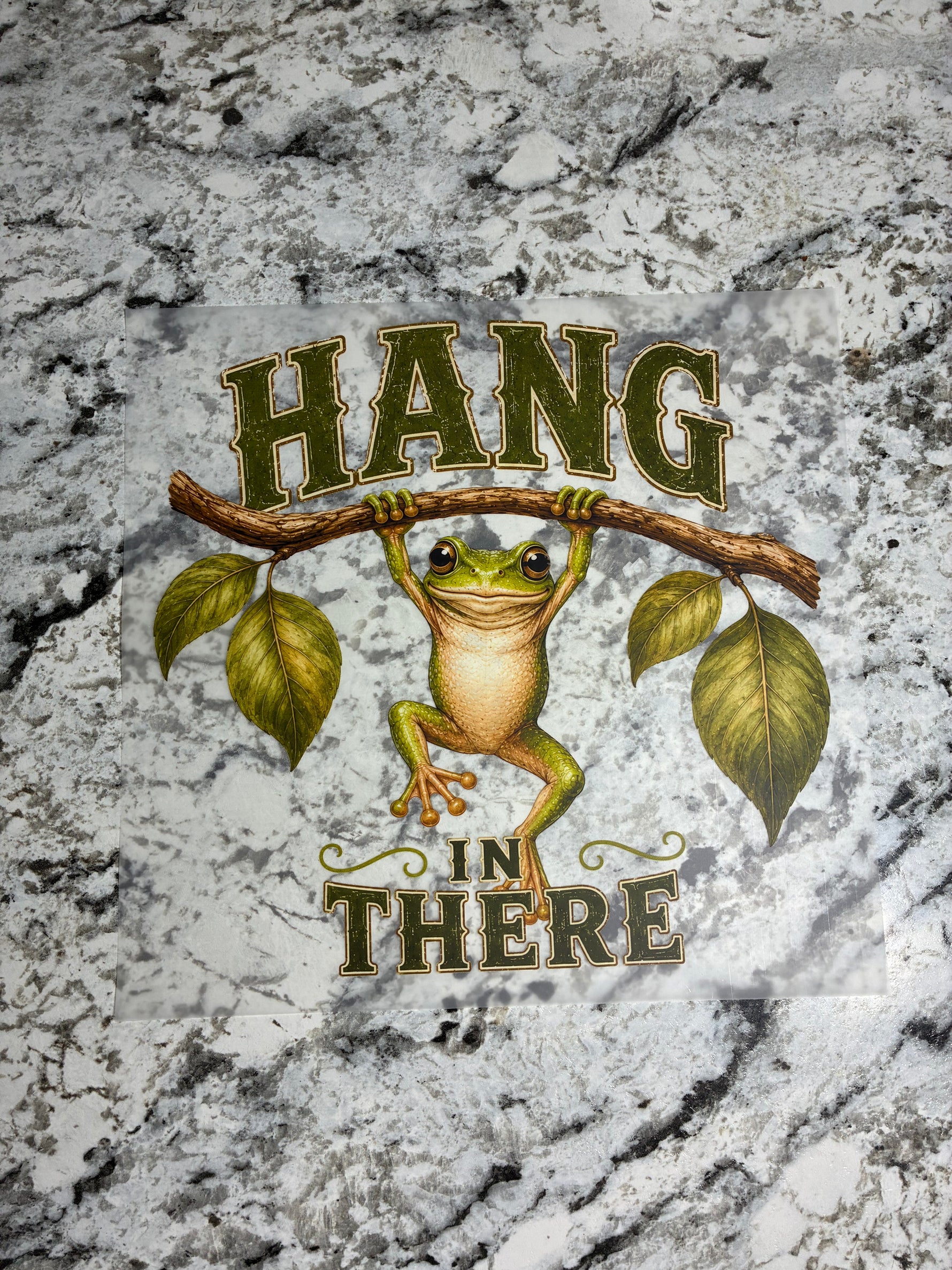 Hang in There Shirt Transfer