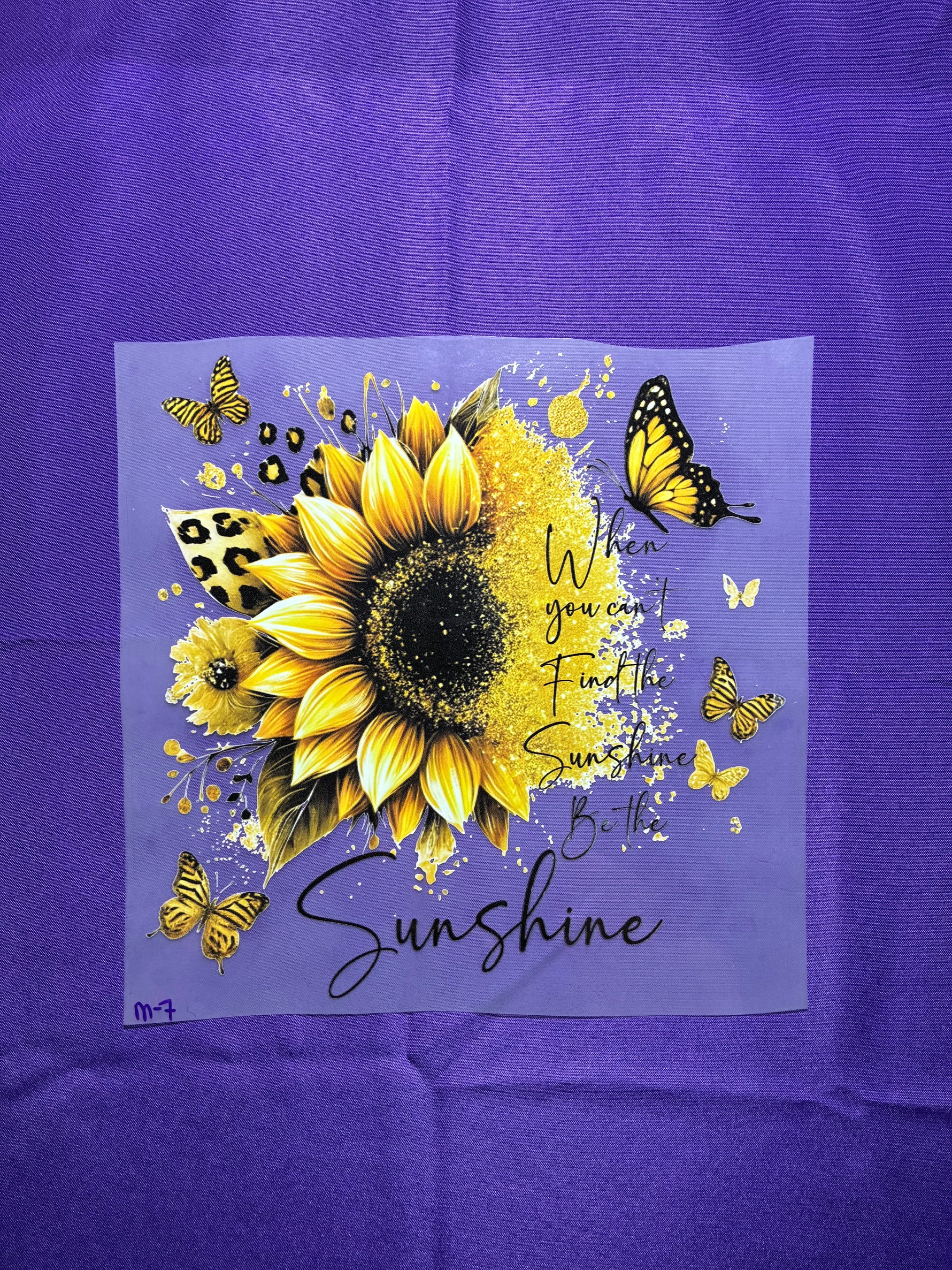 Be the Sunshine Shirt Transfer