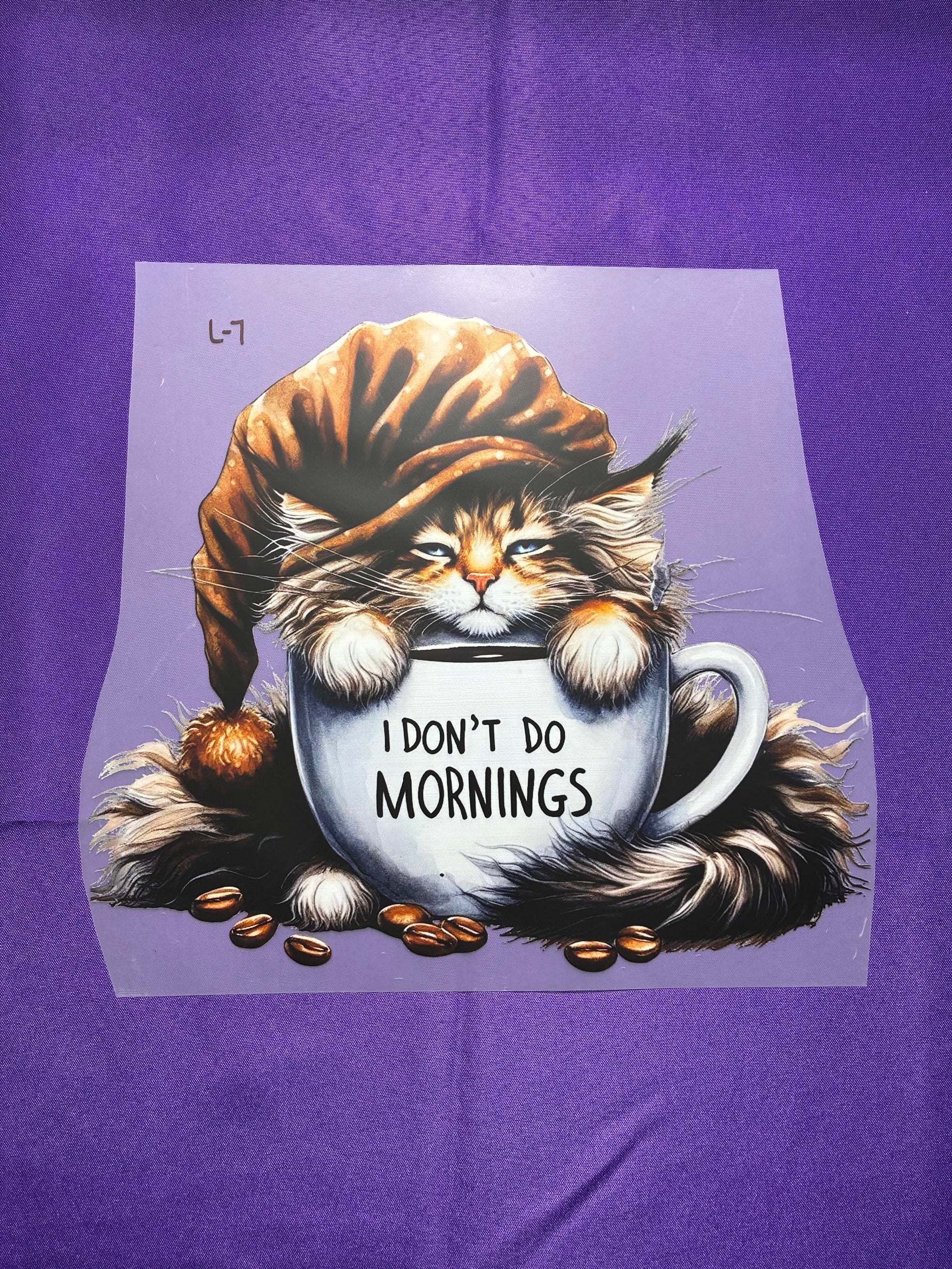 Don’t do Mornings Shirt Transfer