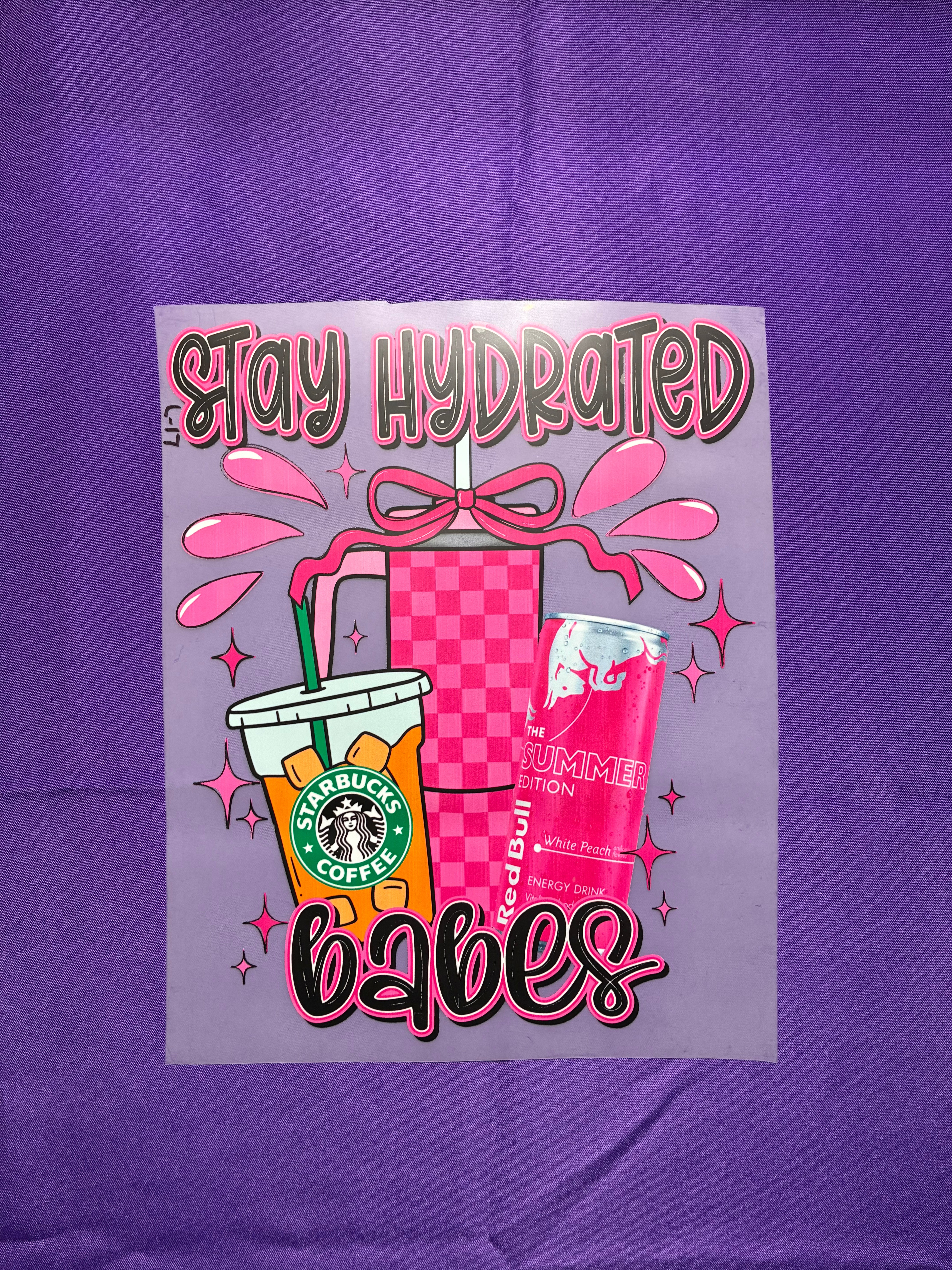 Stay Hydrated Shirt Transfer