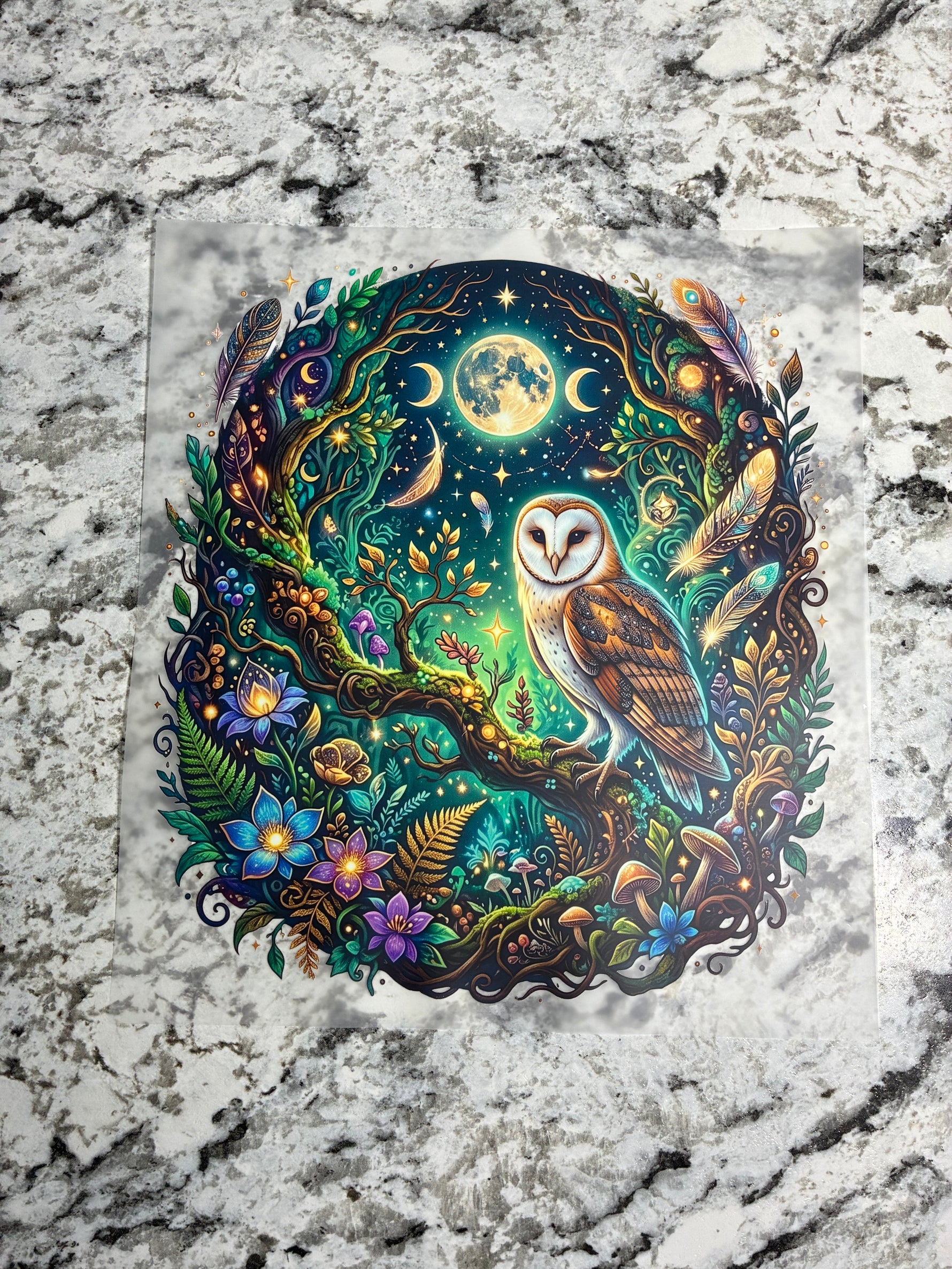 Night Owl Shirt Transfers