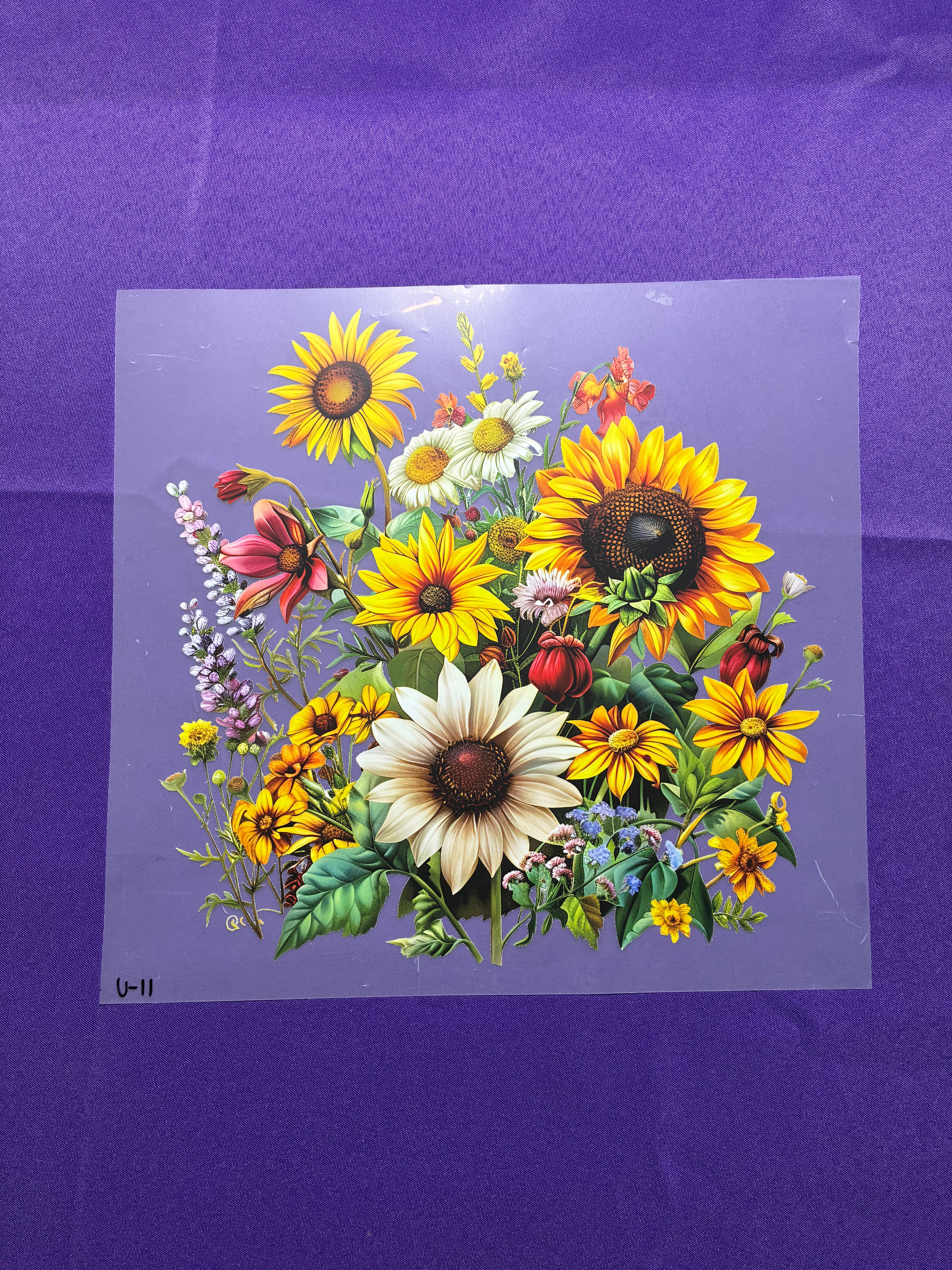 Wildflowers
