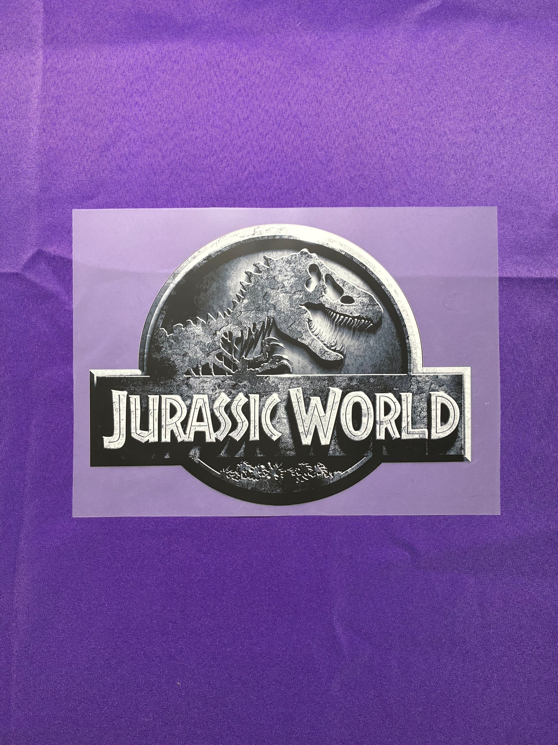 Dinosaur Shirt Transfer