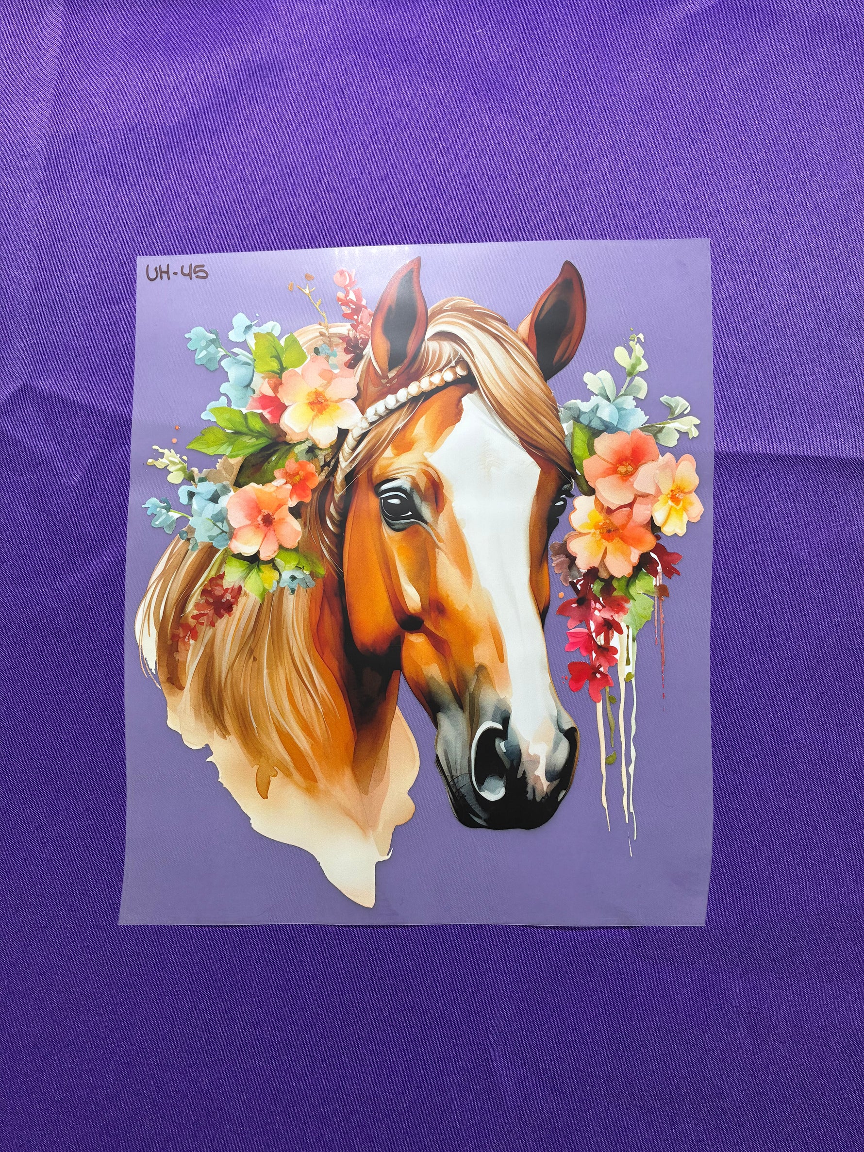 Horse Shirt Transfers