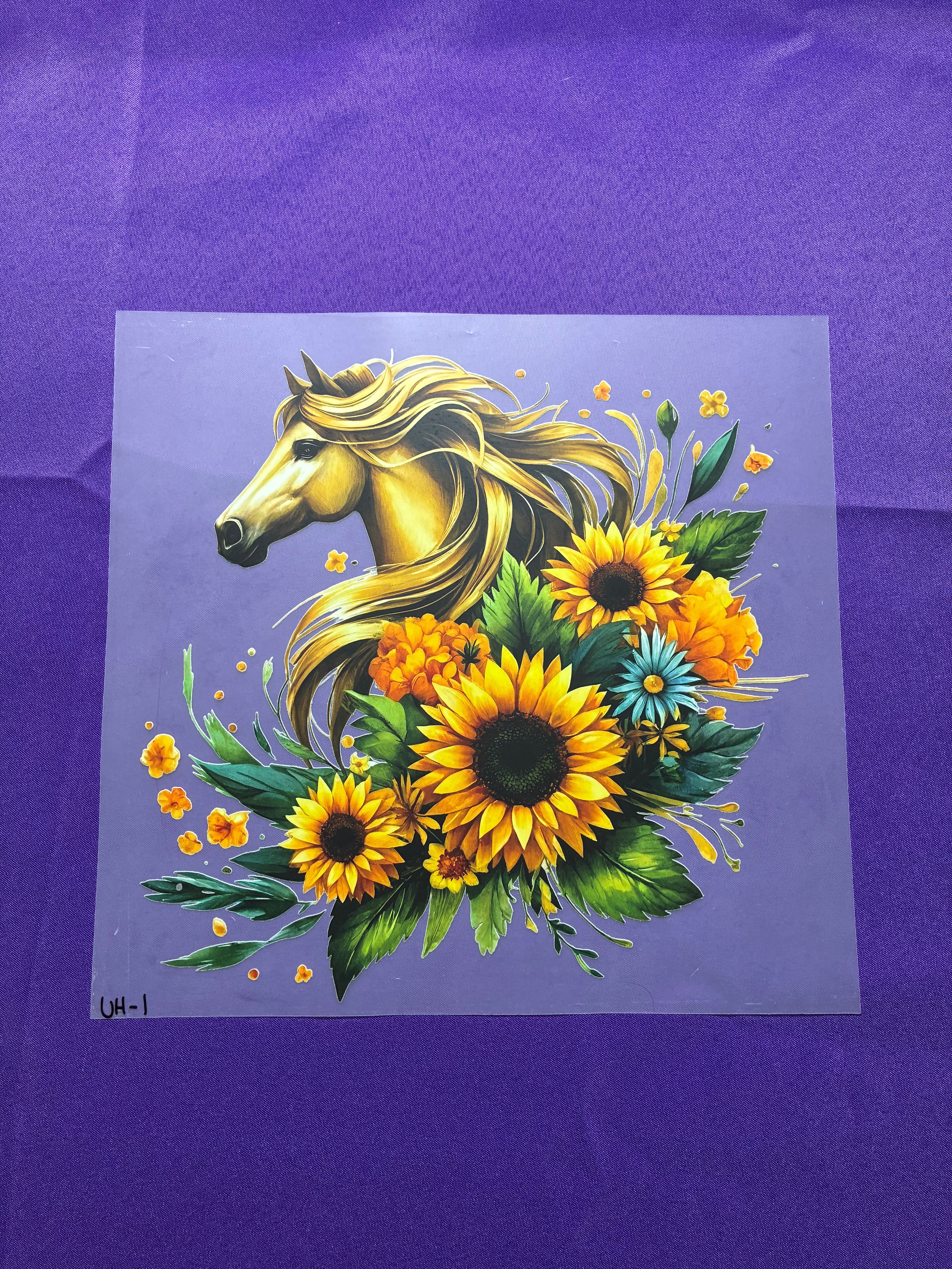 Horse and Sunflowers Shirt Transfers