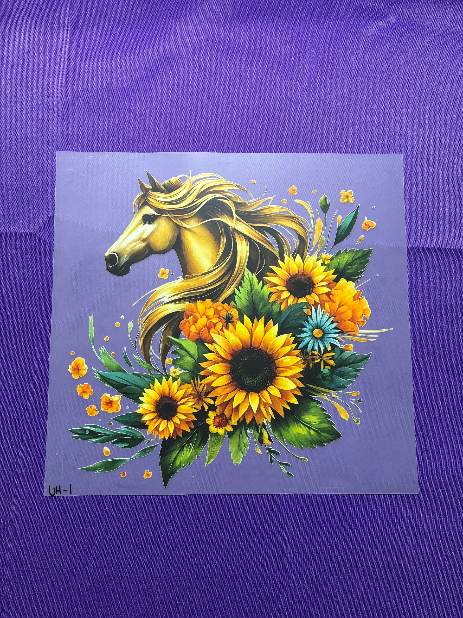 Horse and Sunflowers Shirt Transfers