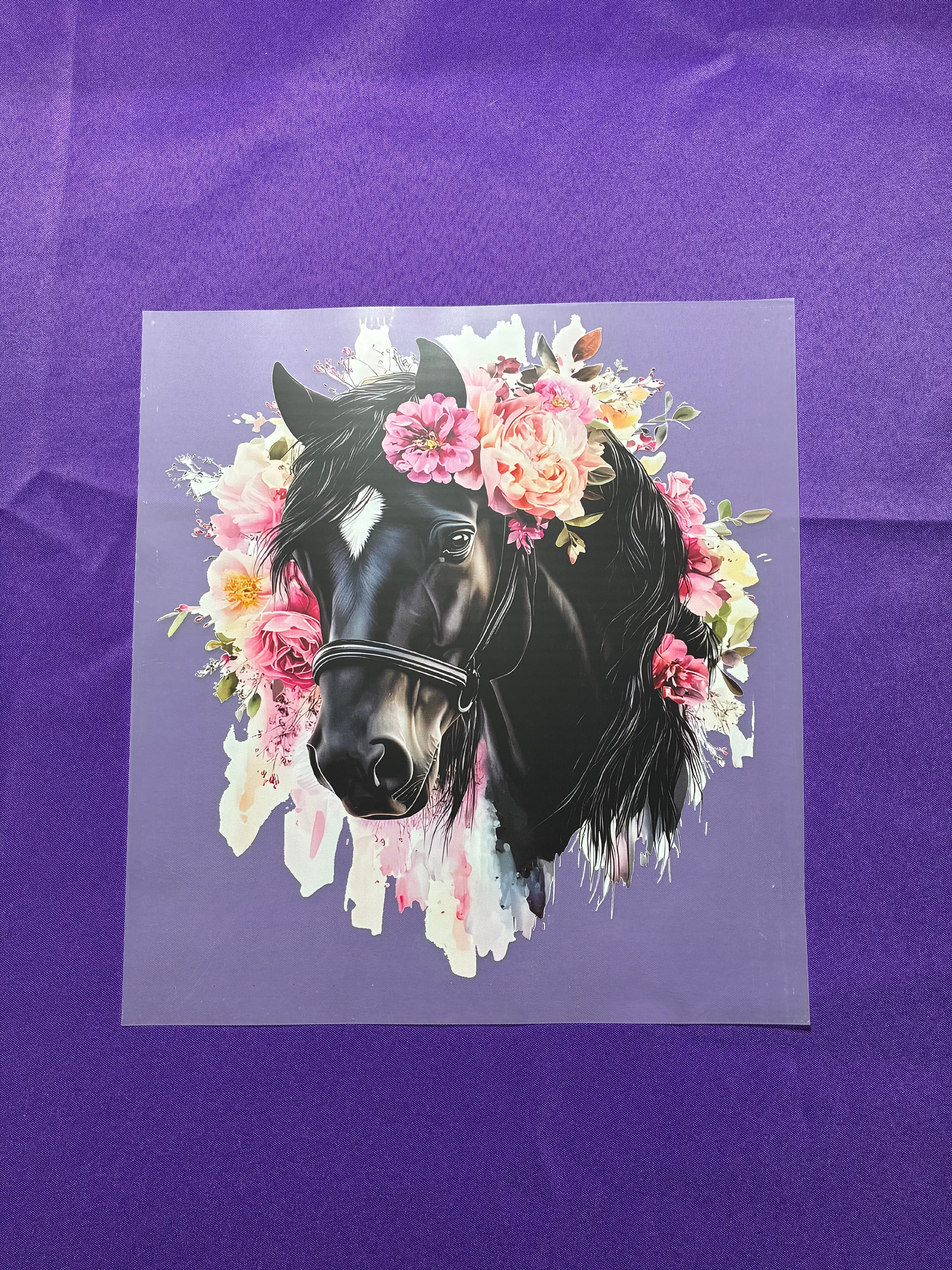 Black Horse Shirt Transfers