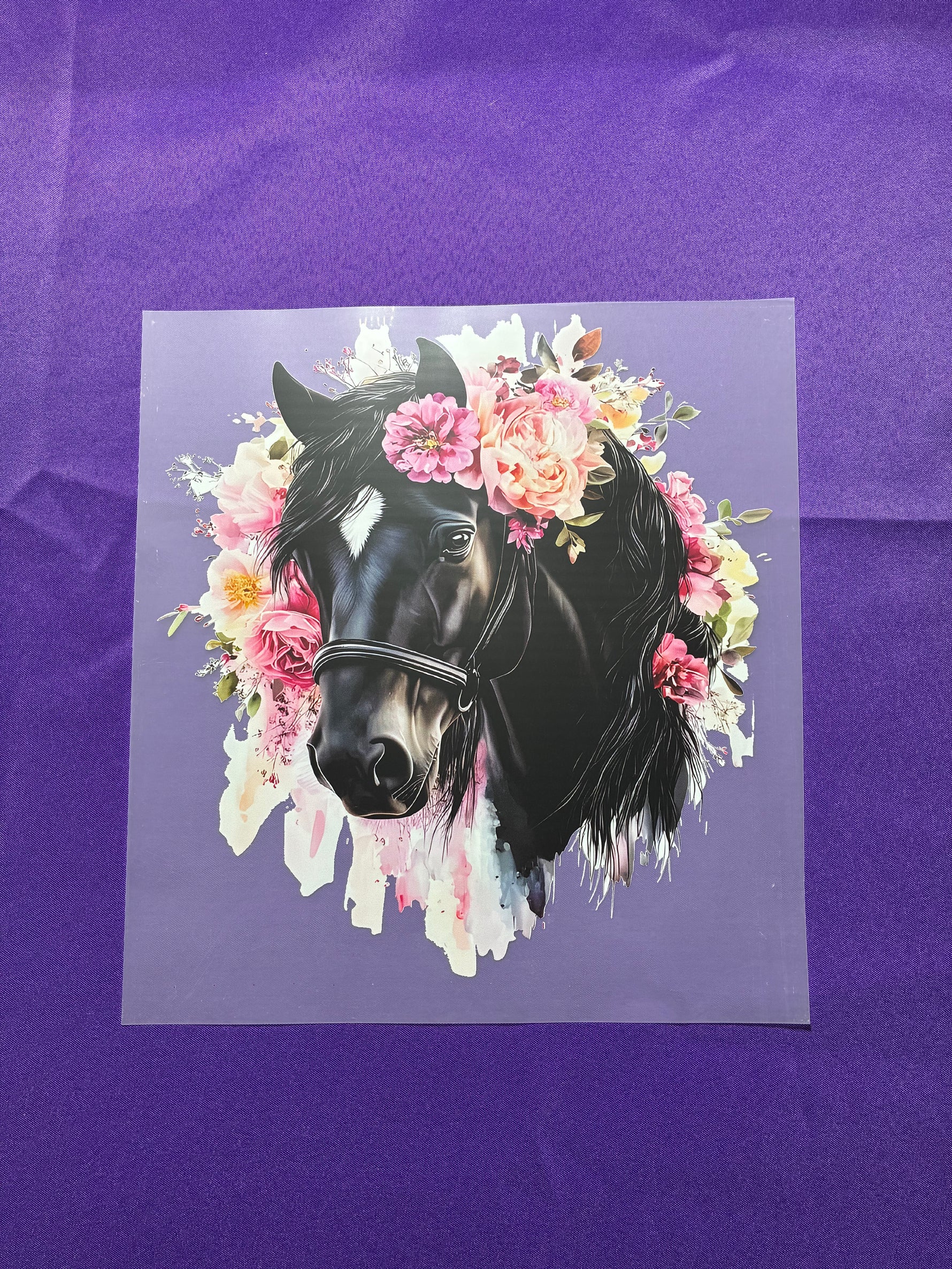 Black Horse Shirt Transfers