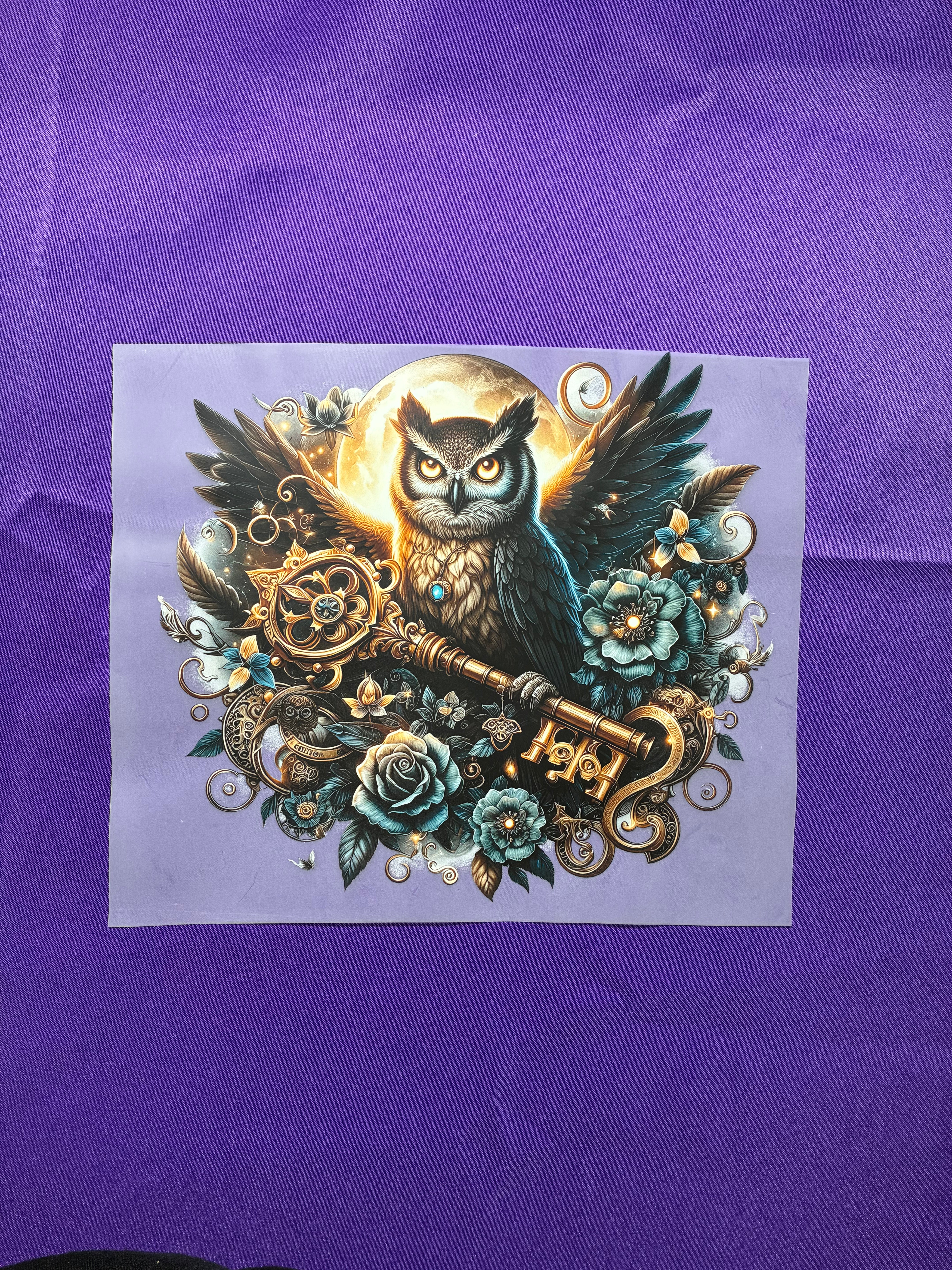 Owl Shirt Transfer