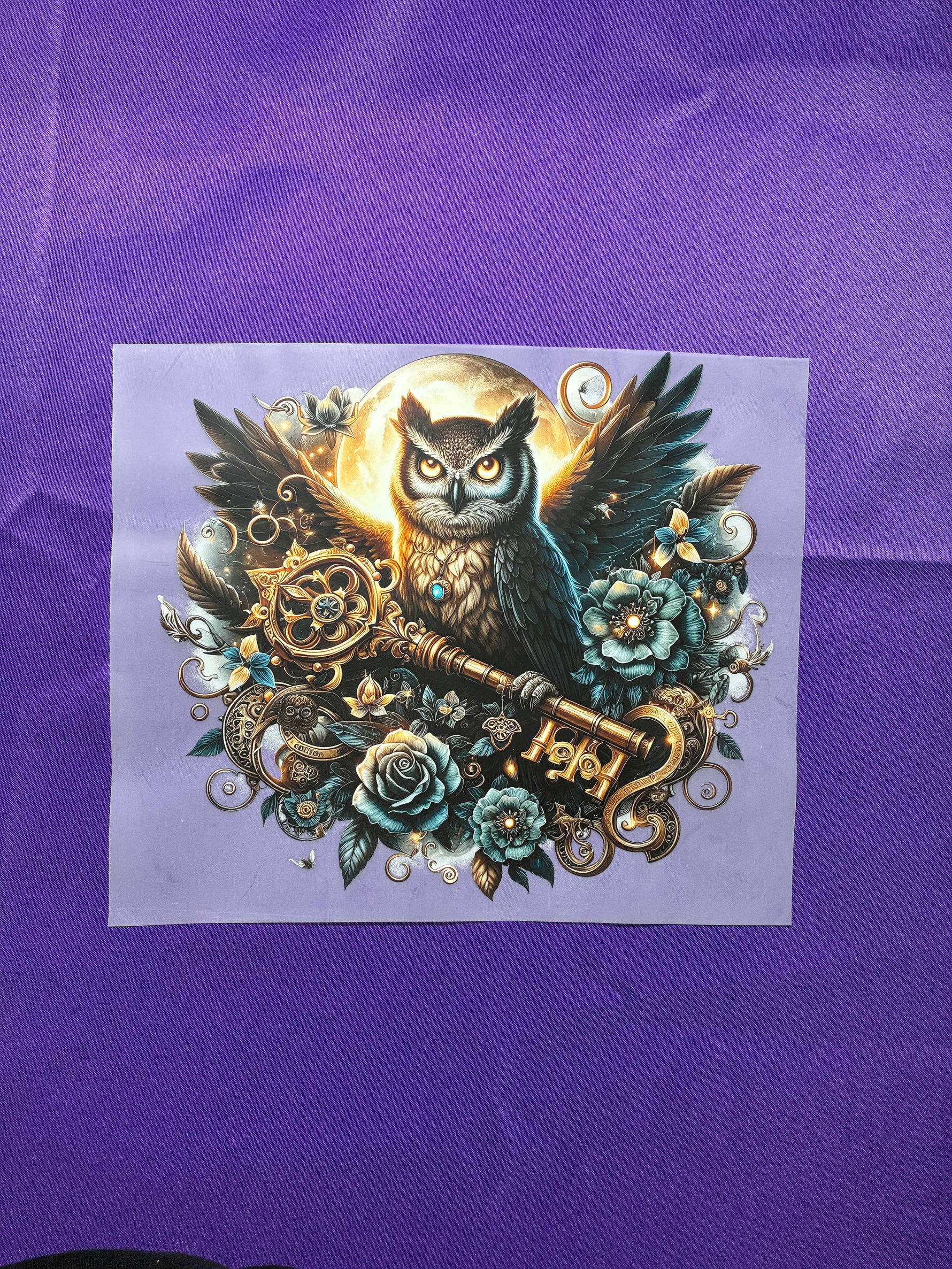 Owl Shirt Transfer