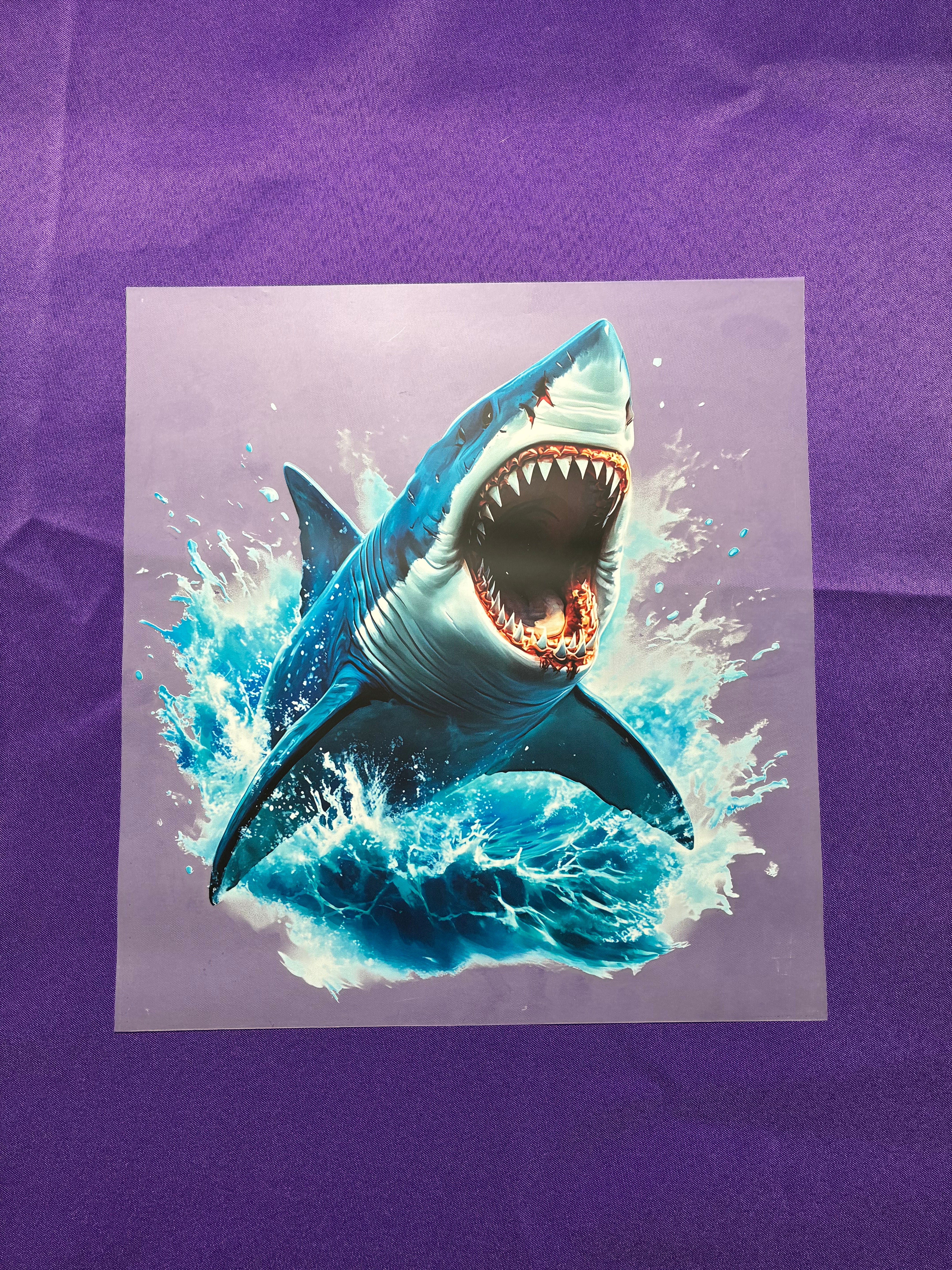 Shark Shirt Transfer