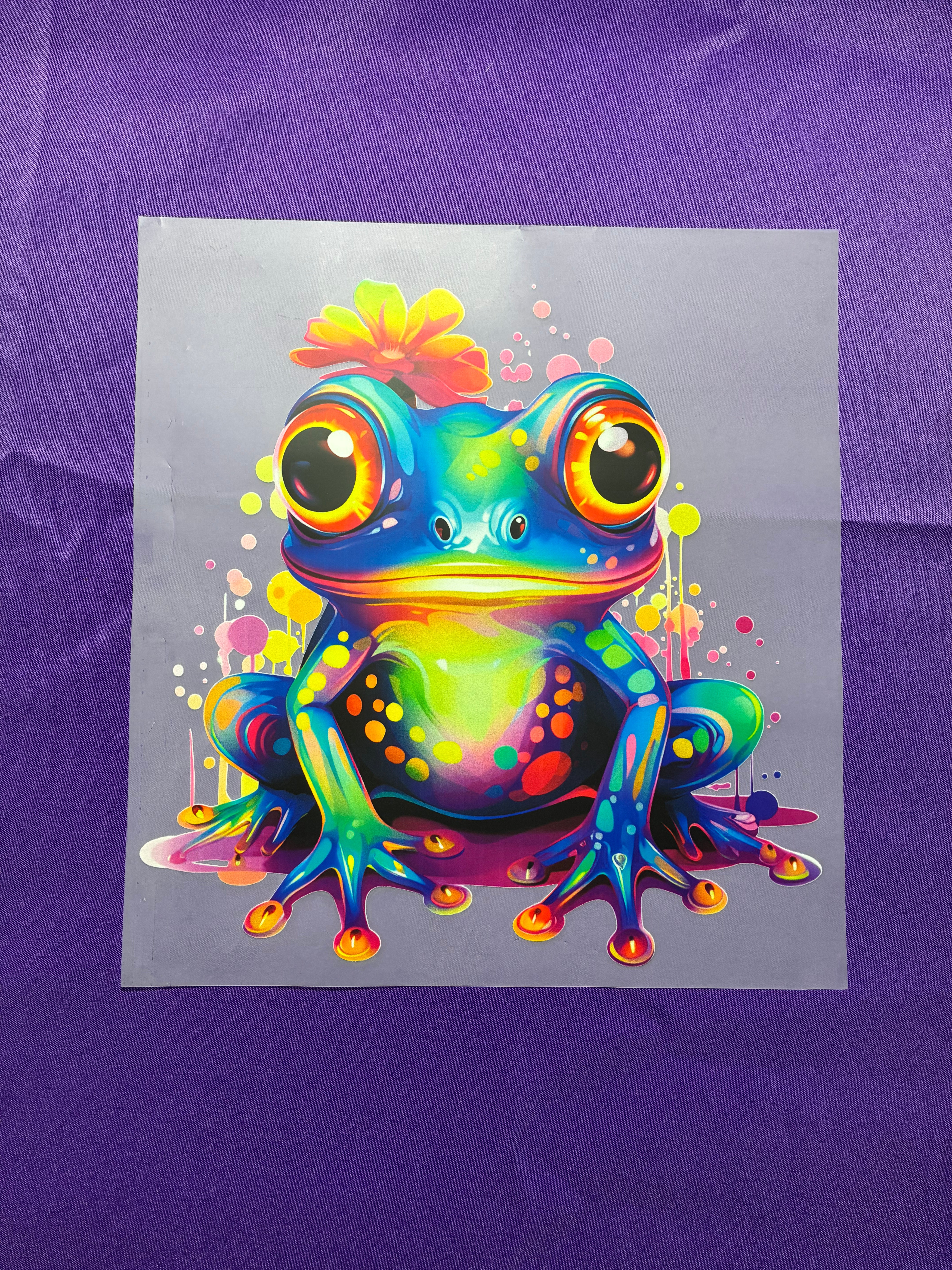 Frog Shirt Transfers