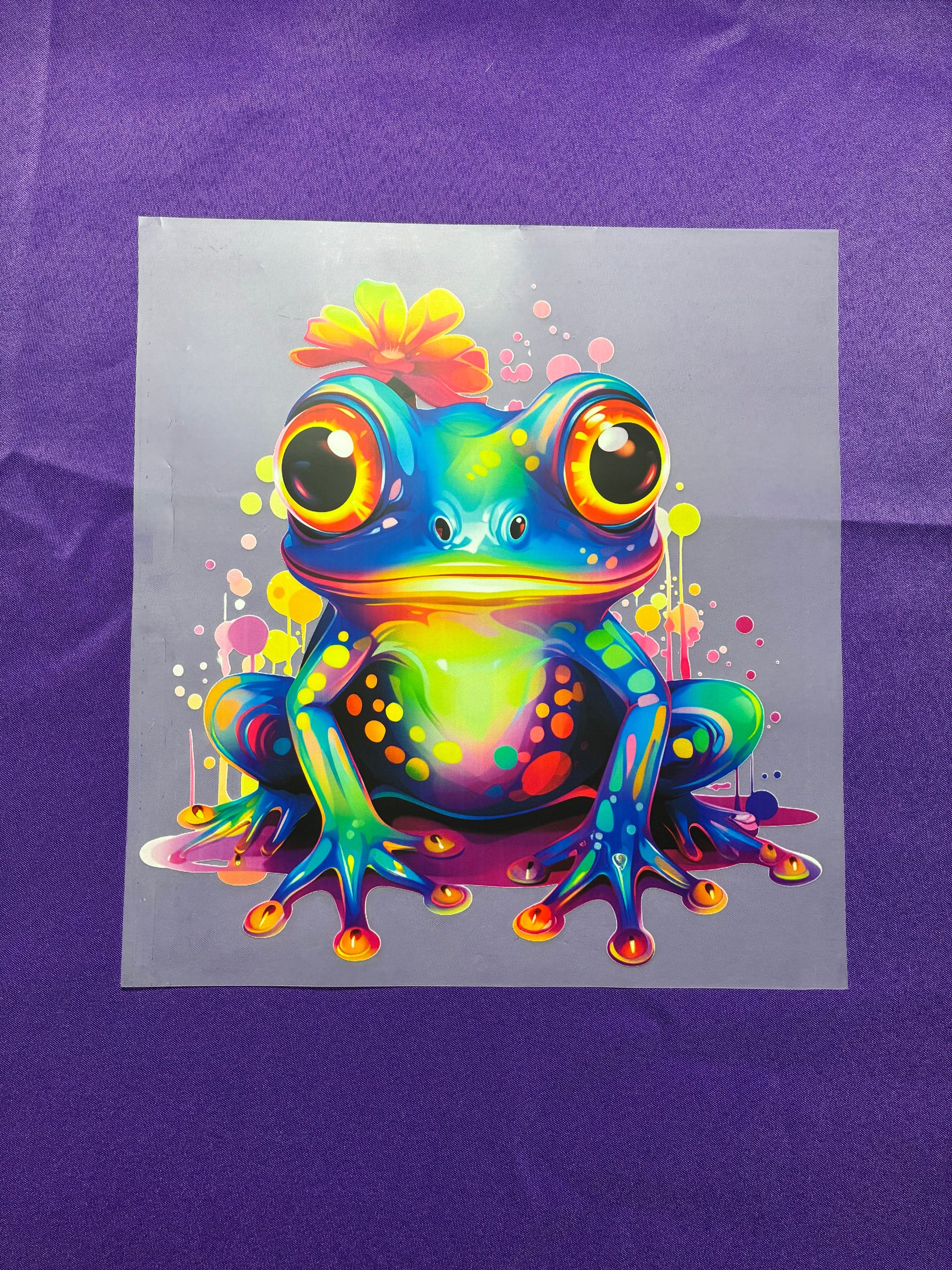 Frog Shirt Transfers