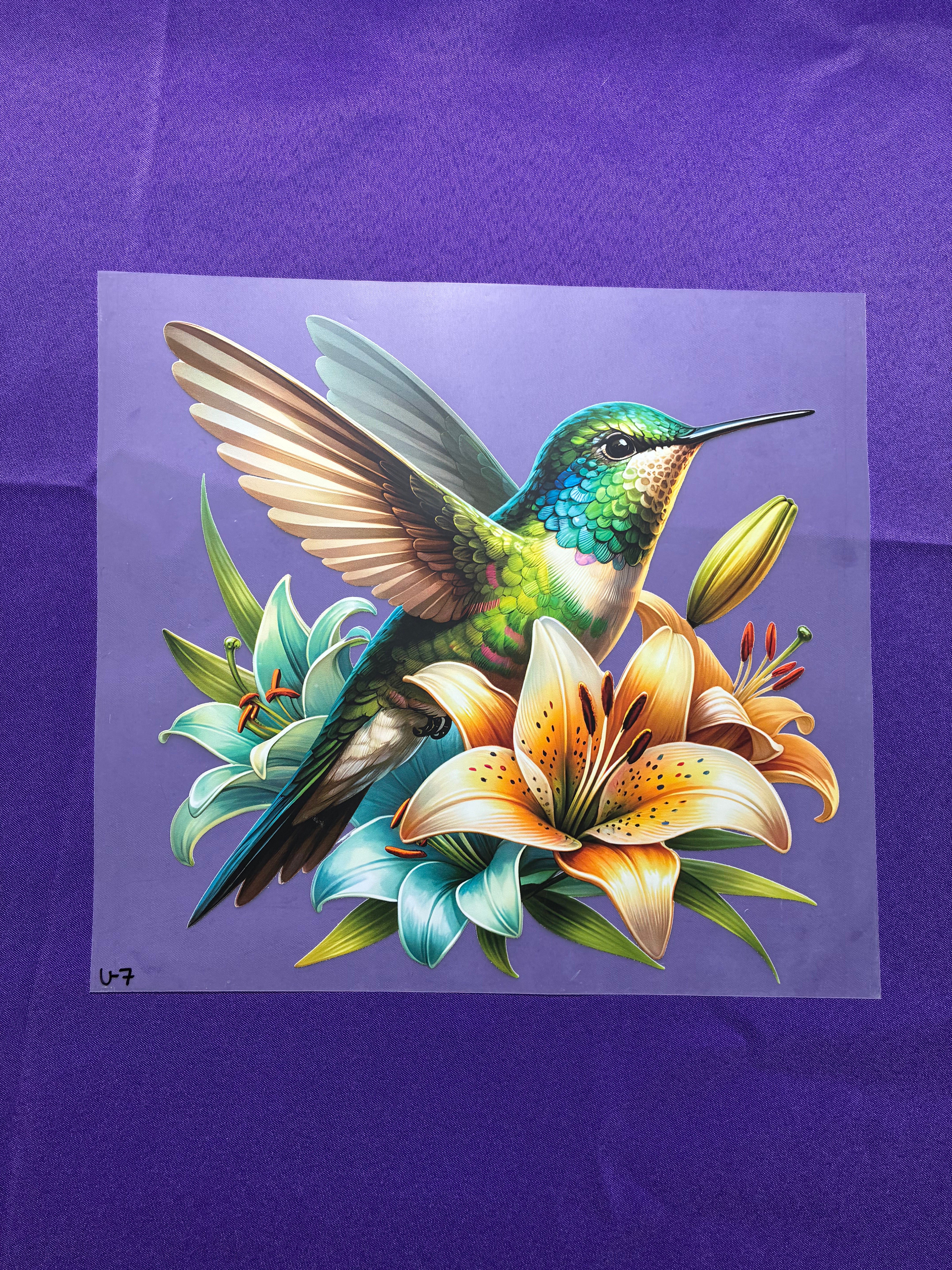 Hummingbird Shirt Transfers