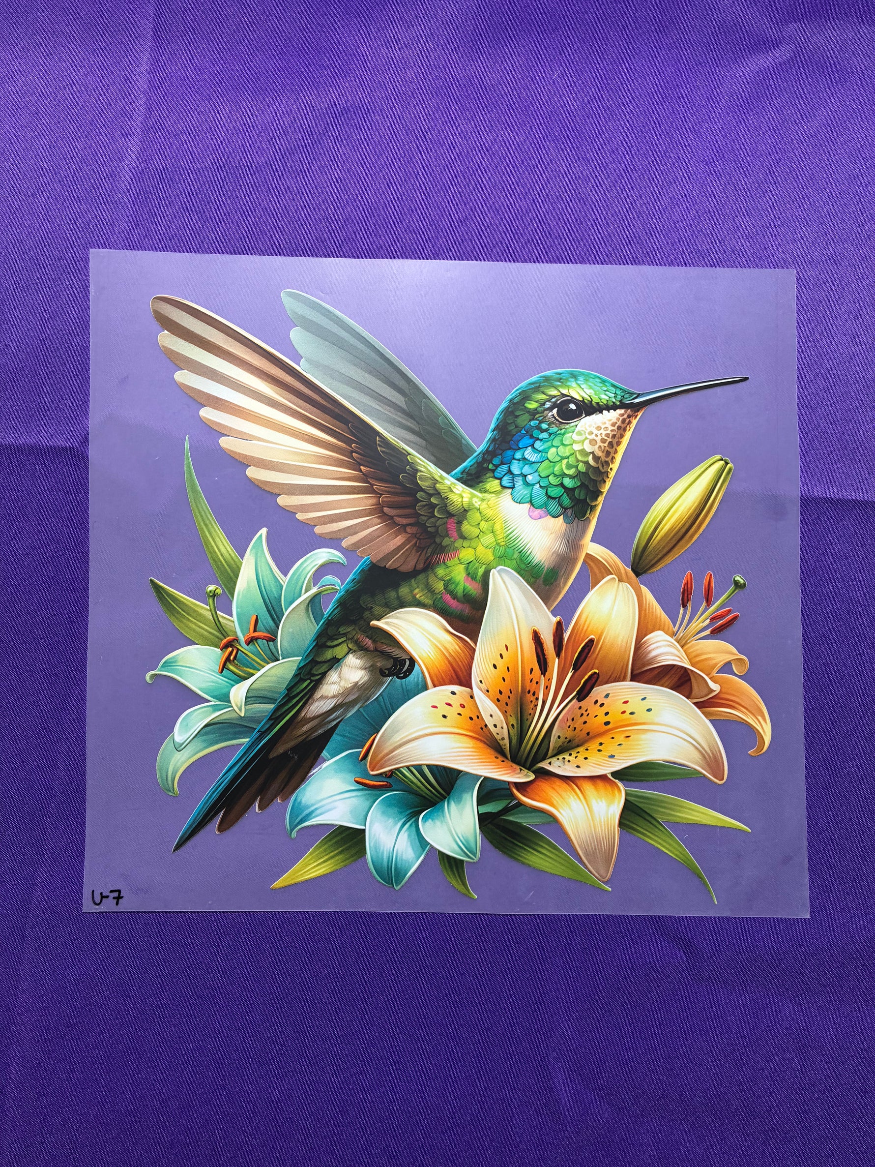 Hummingbird Shirt Transfers