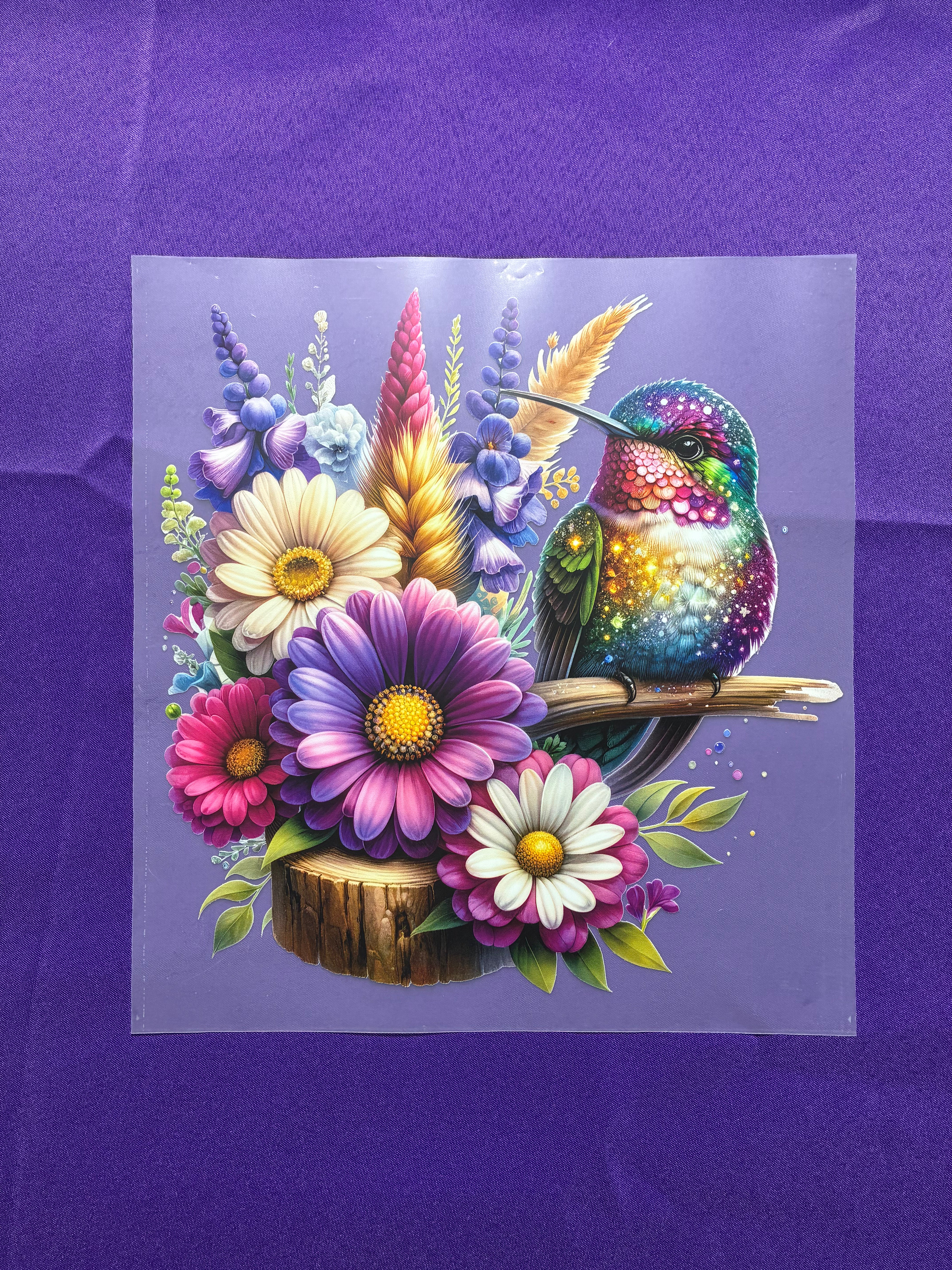 Hummingbird Shirt Transfers