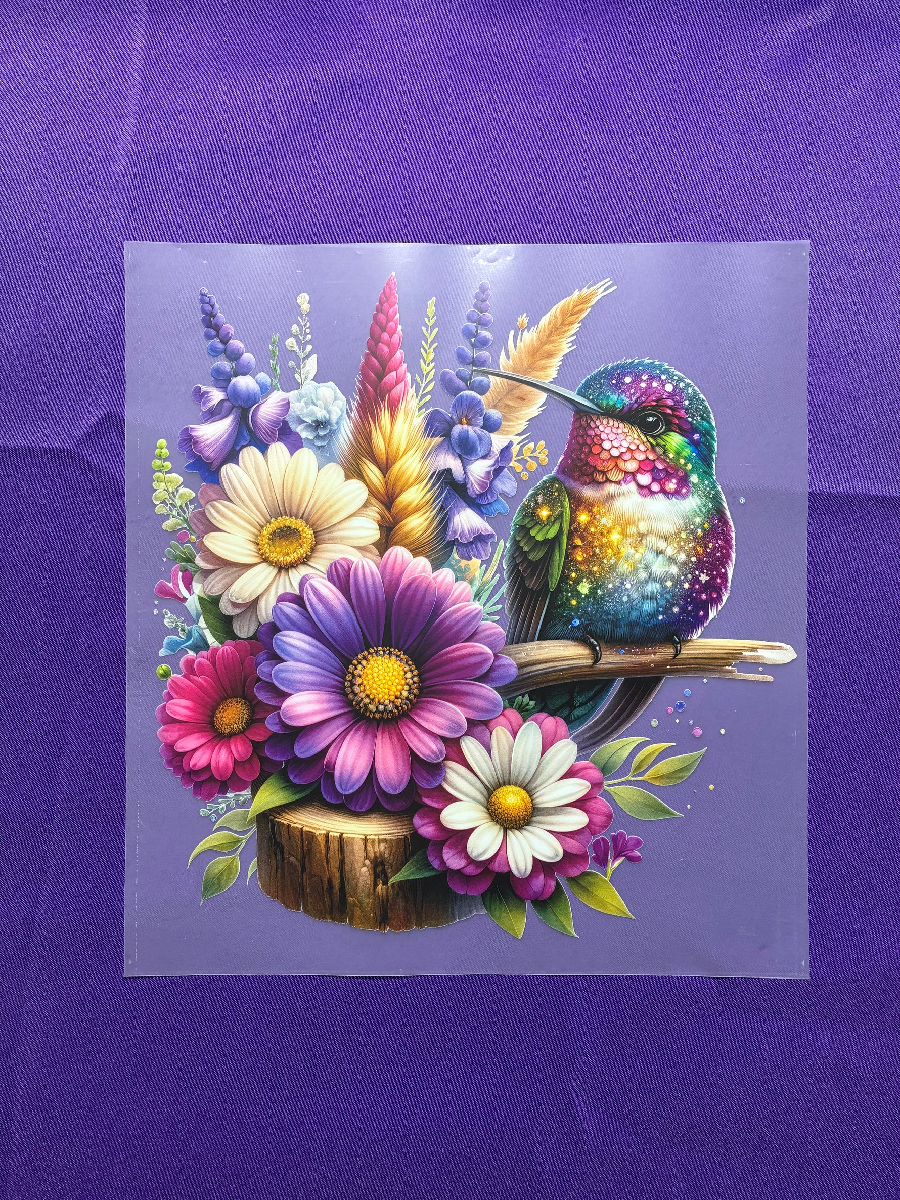 Hummingbird Shirt Transfers