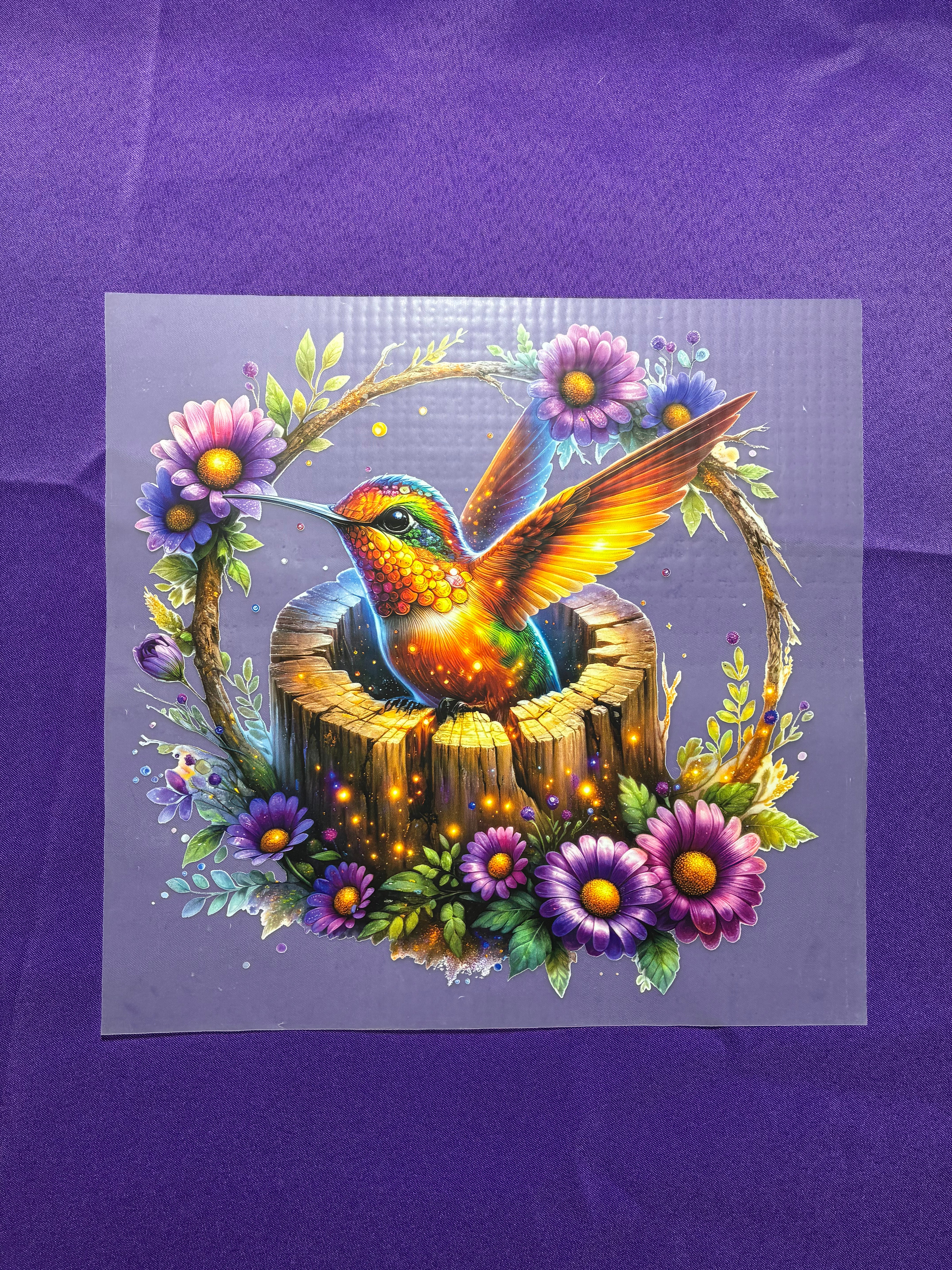 Hummingbird Shirt Transfers