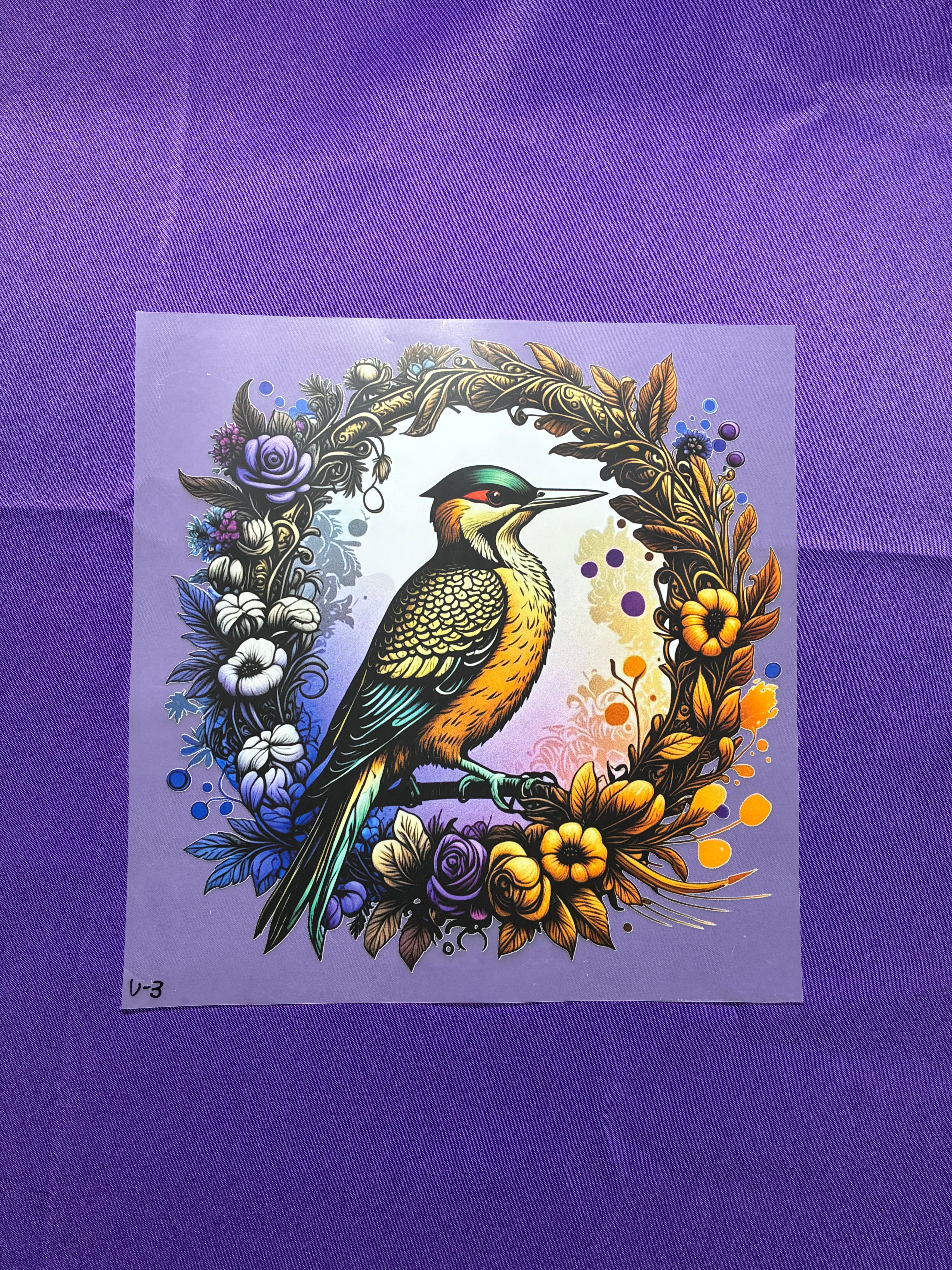 Woodpecker Shirt Transfers