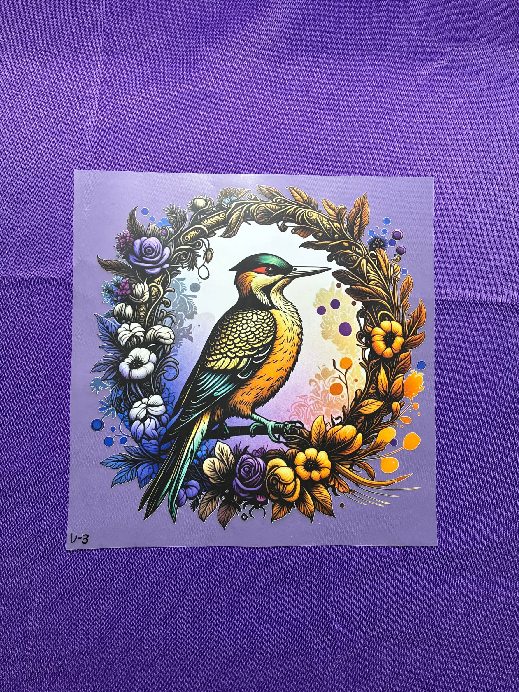 Woodpecker Shirt Transfers