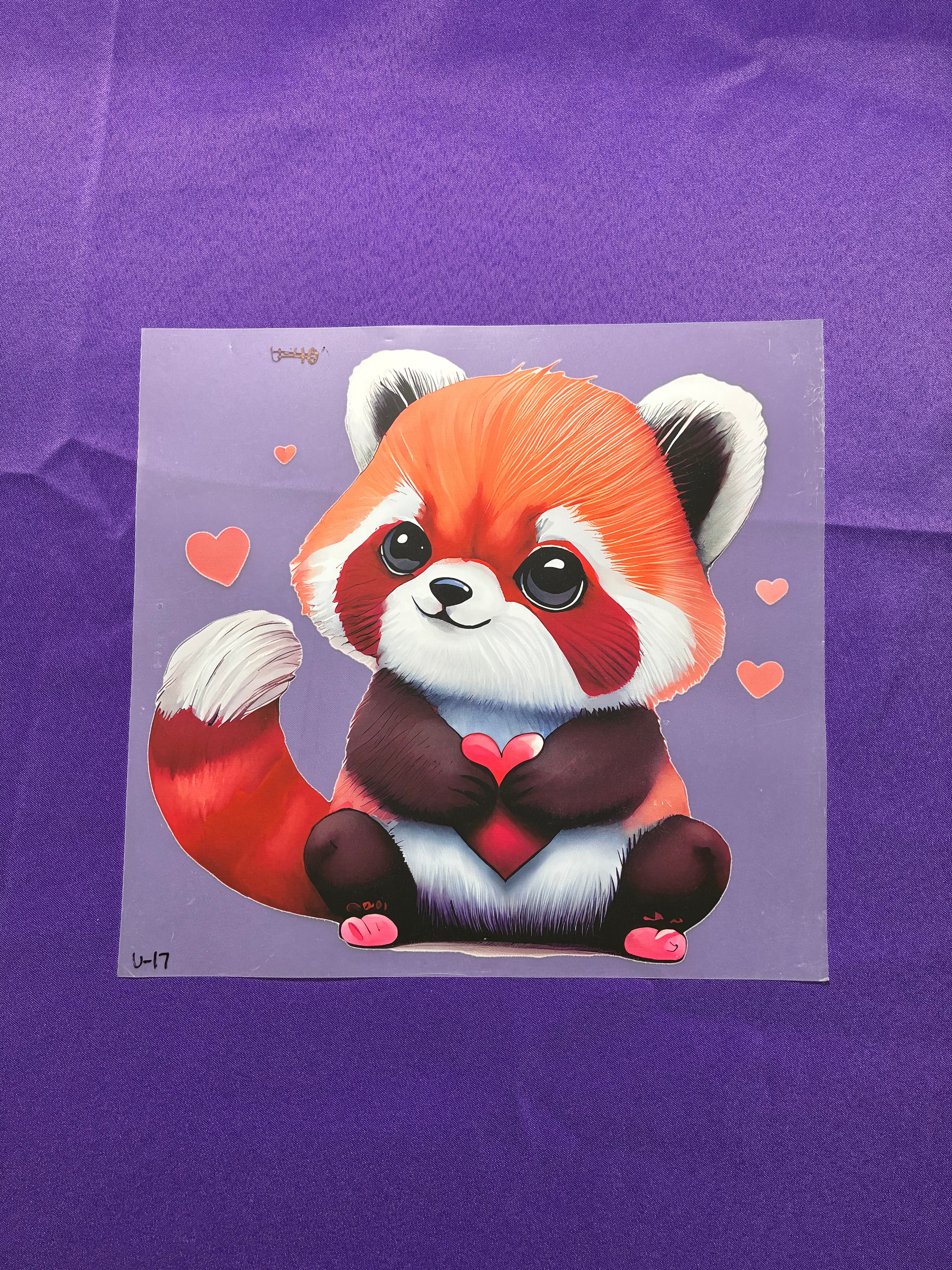 Red Panda Shirt Transfers
