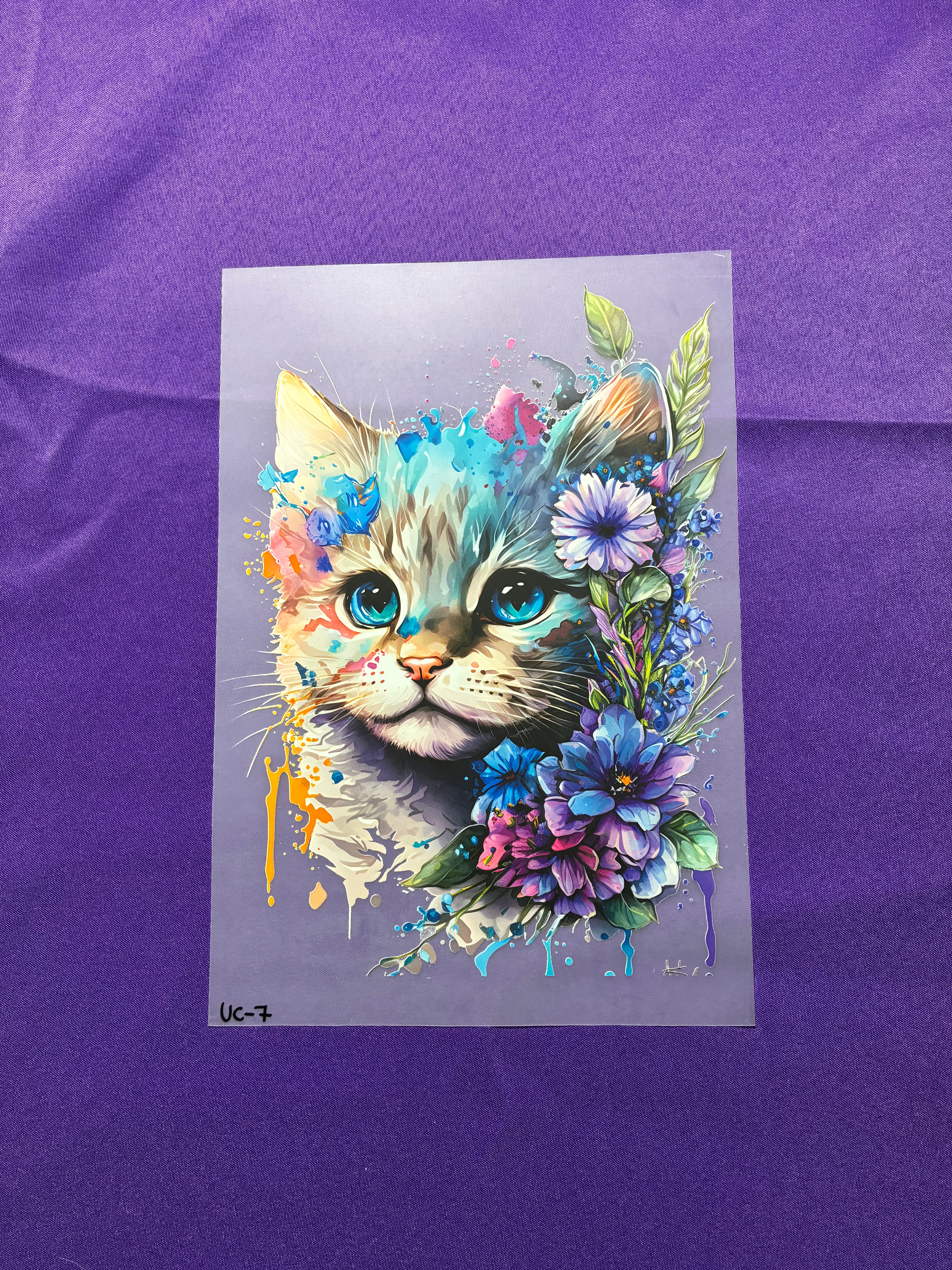 Cat DTF Transfers