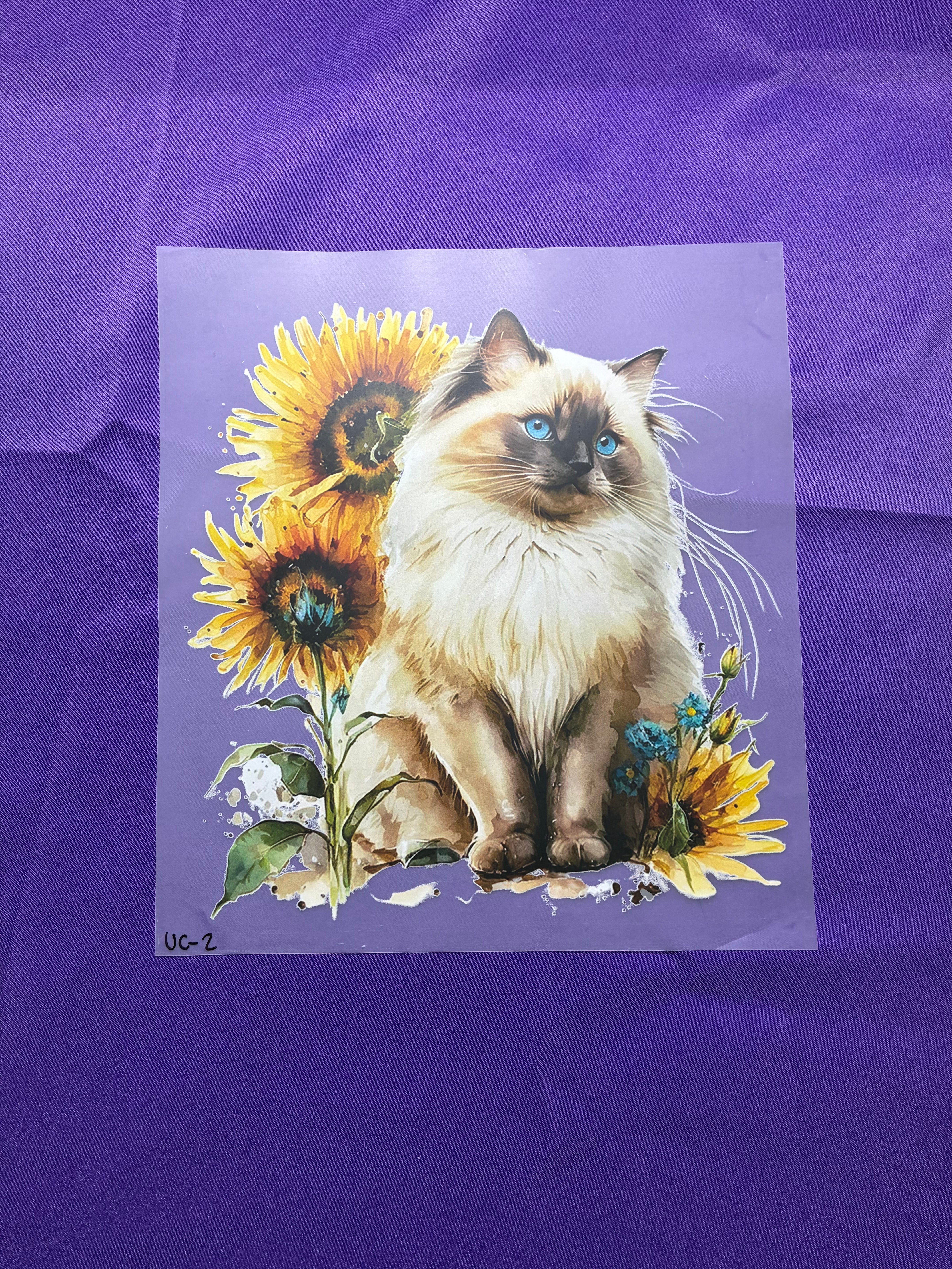 Siamese Cat DTF Transfers