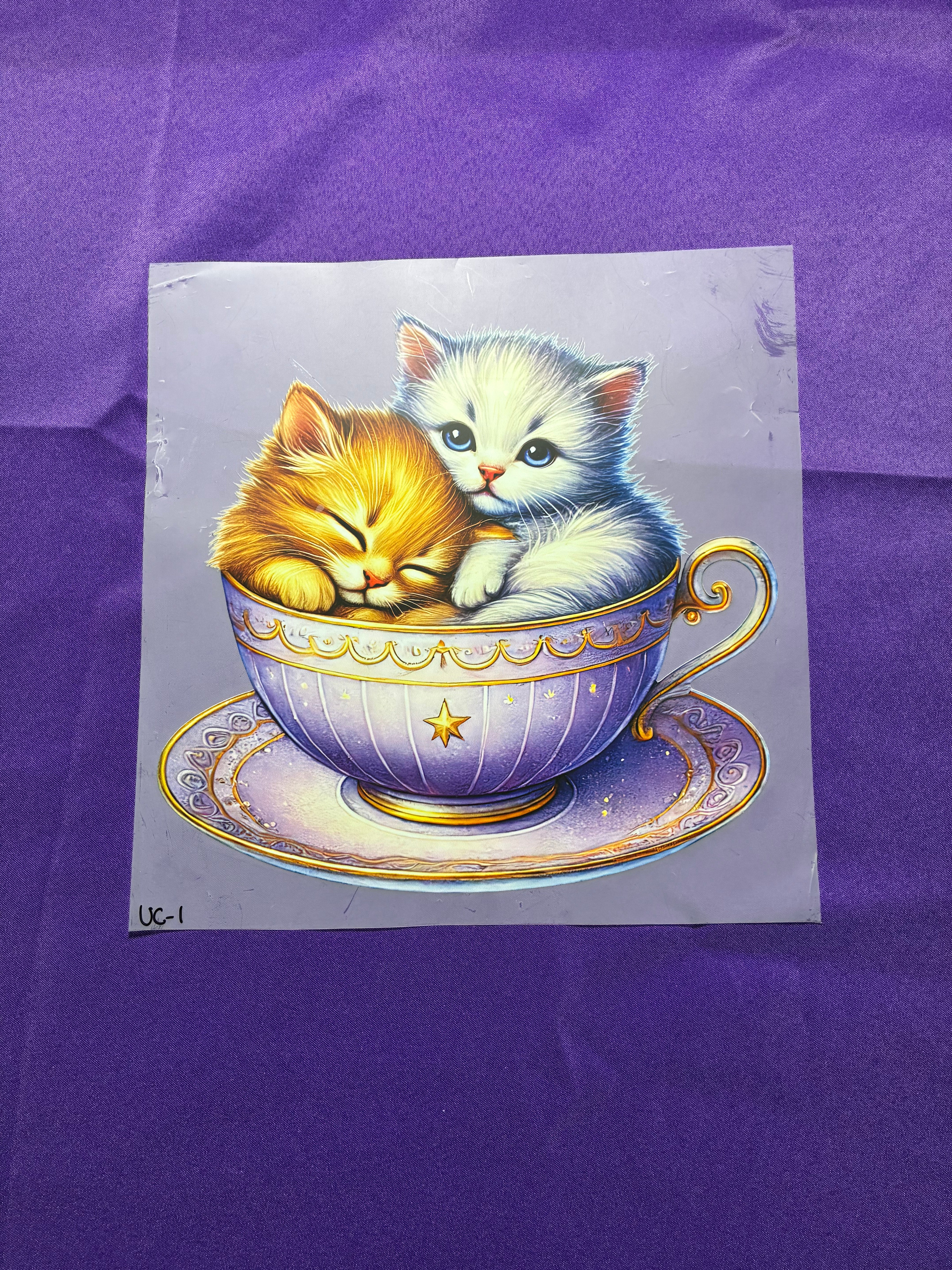 Teacup Kittens DTF Transfers