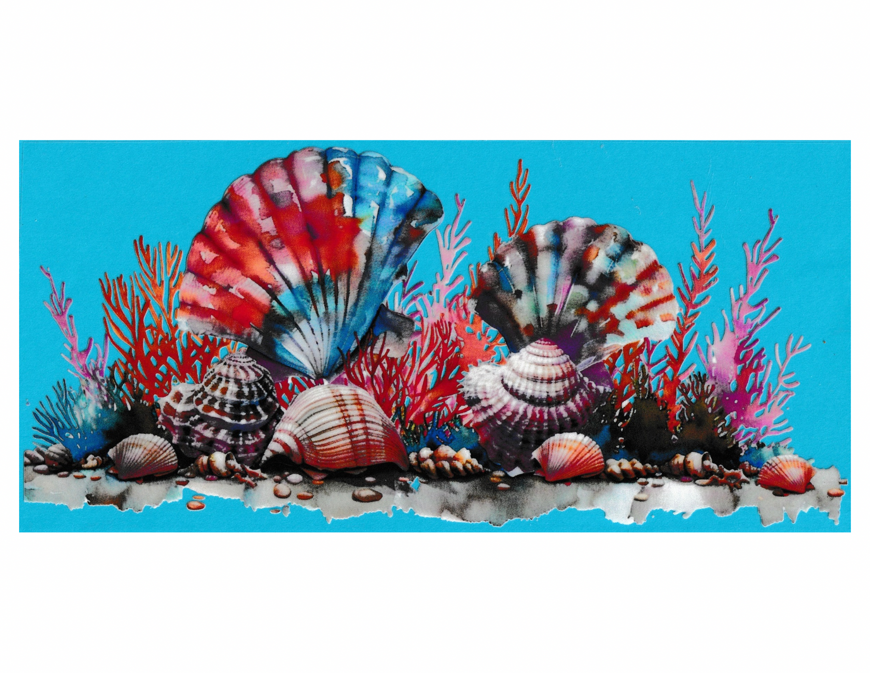 16oz Cup Wrap Seashells