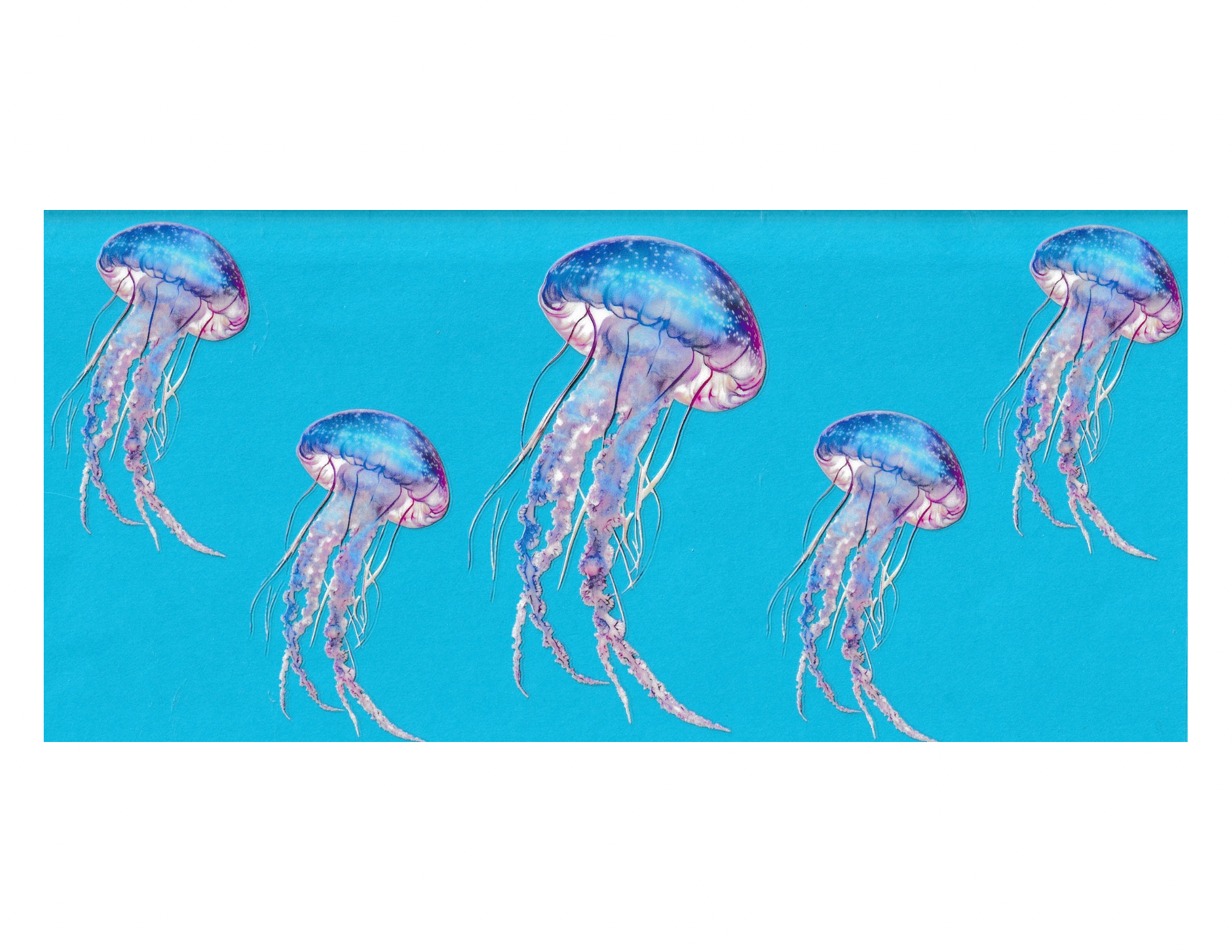 16oz Cup Wrap Jellyfish