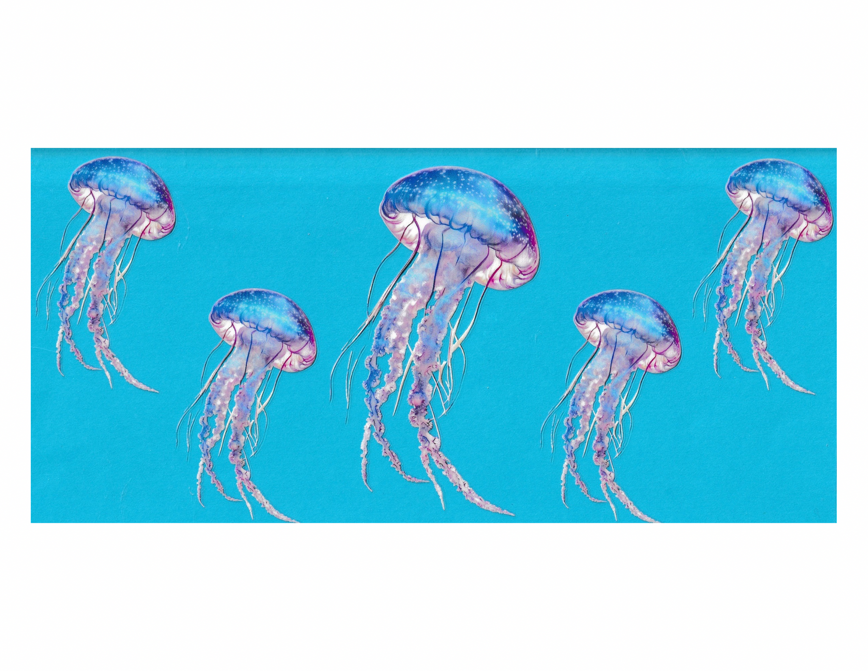 16oz Cup Wrap Jellyfish