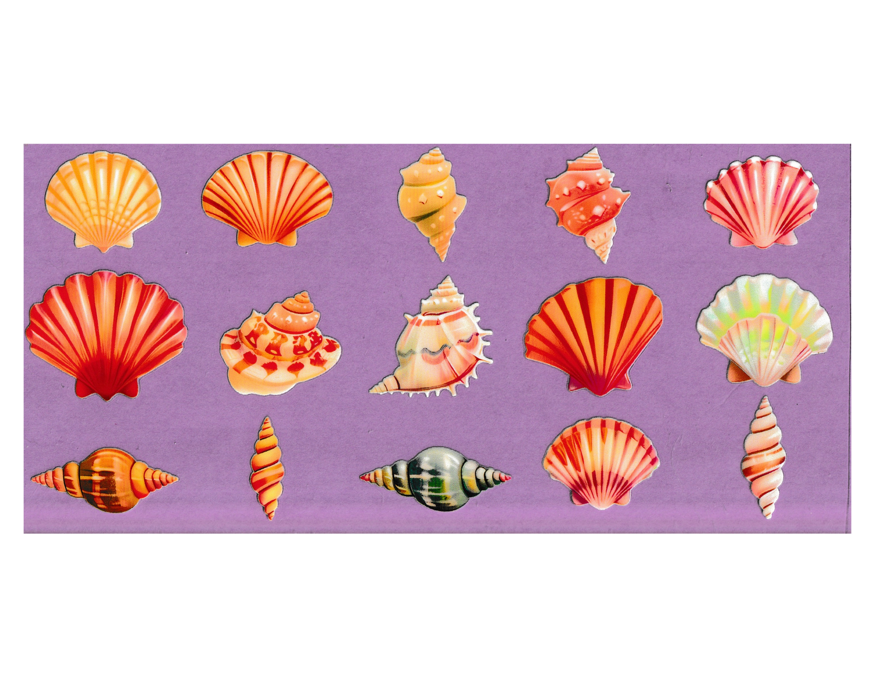 16oz Cup Wrap Seashells