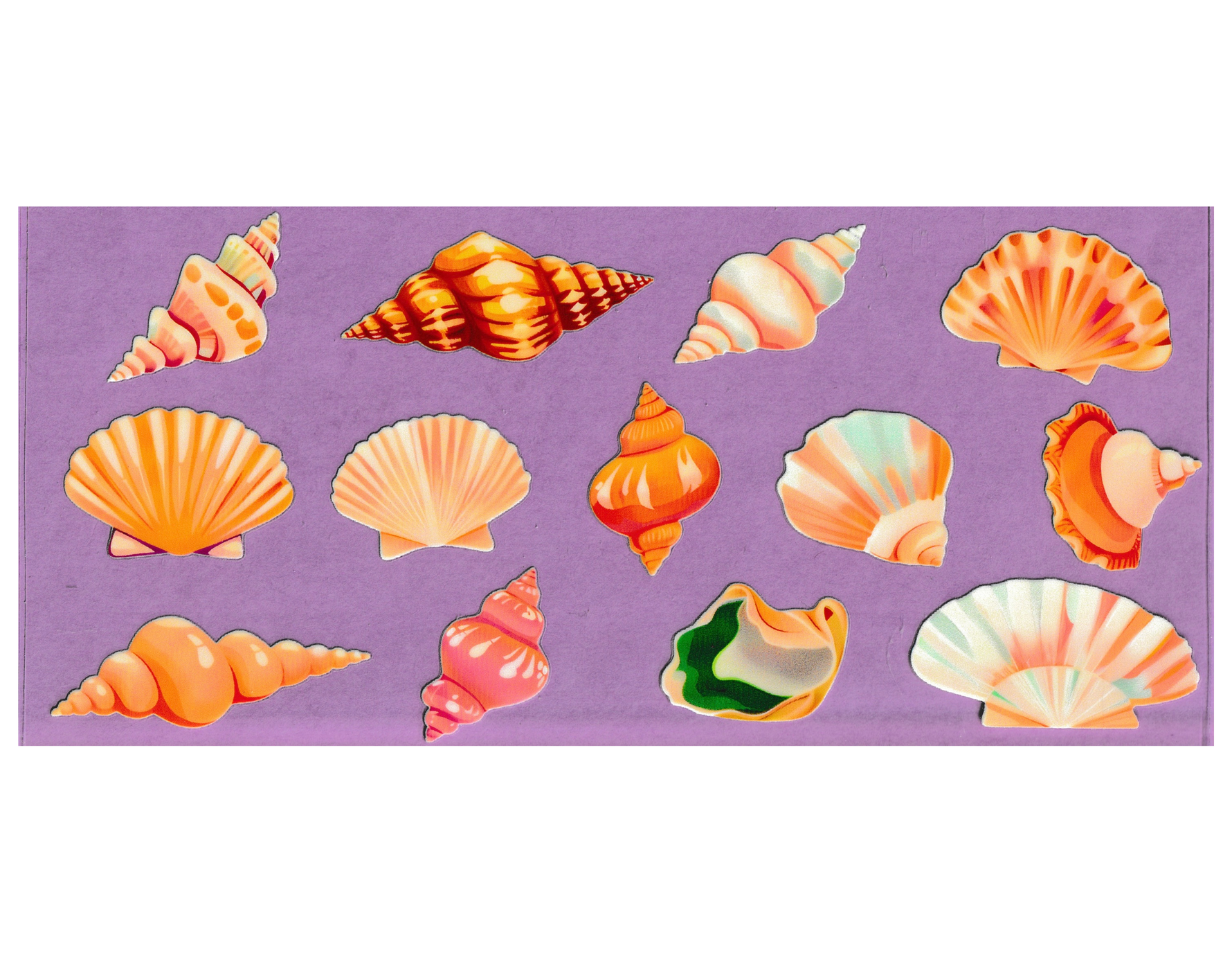 16oz Cup Wrap Seashells