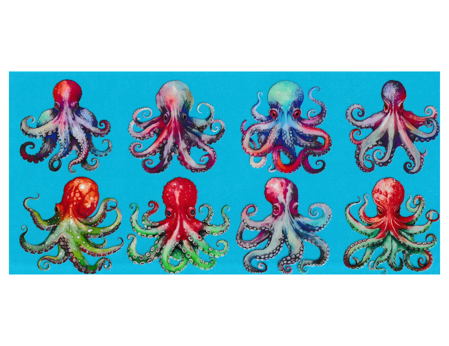 16oz Cup Wrap Octopus