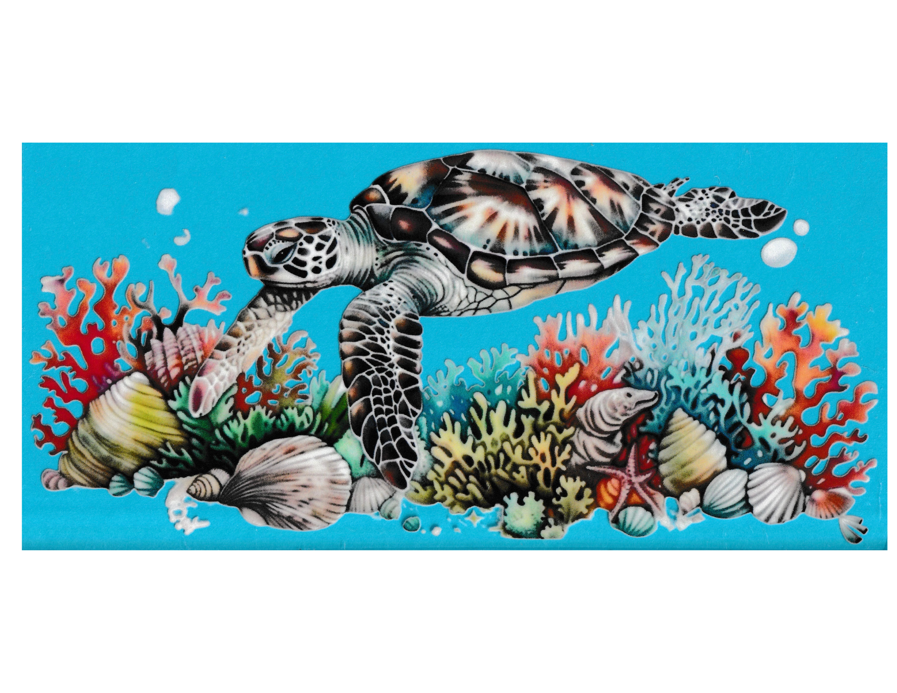 16oz Cup Wrap Turtle