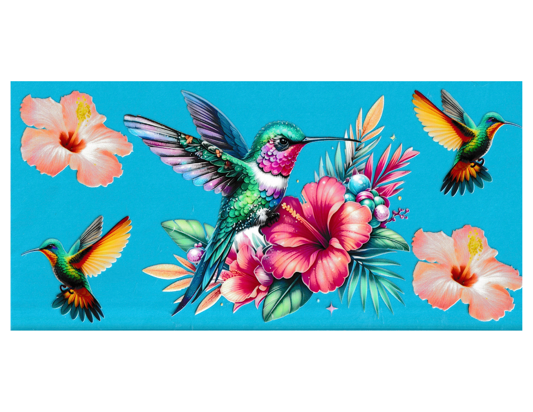 16oz Cup Wrap Hummingbird