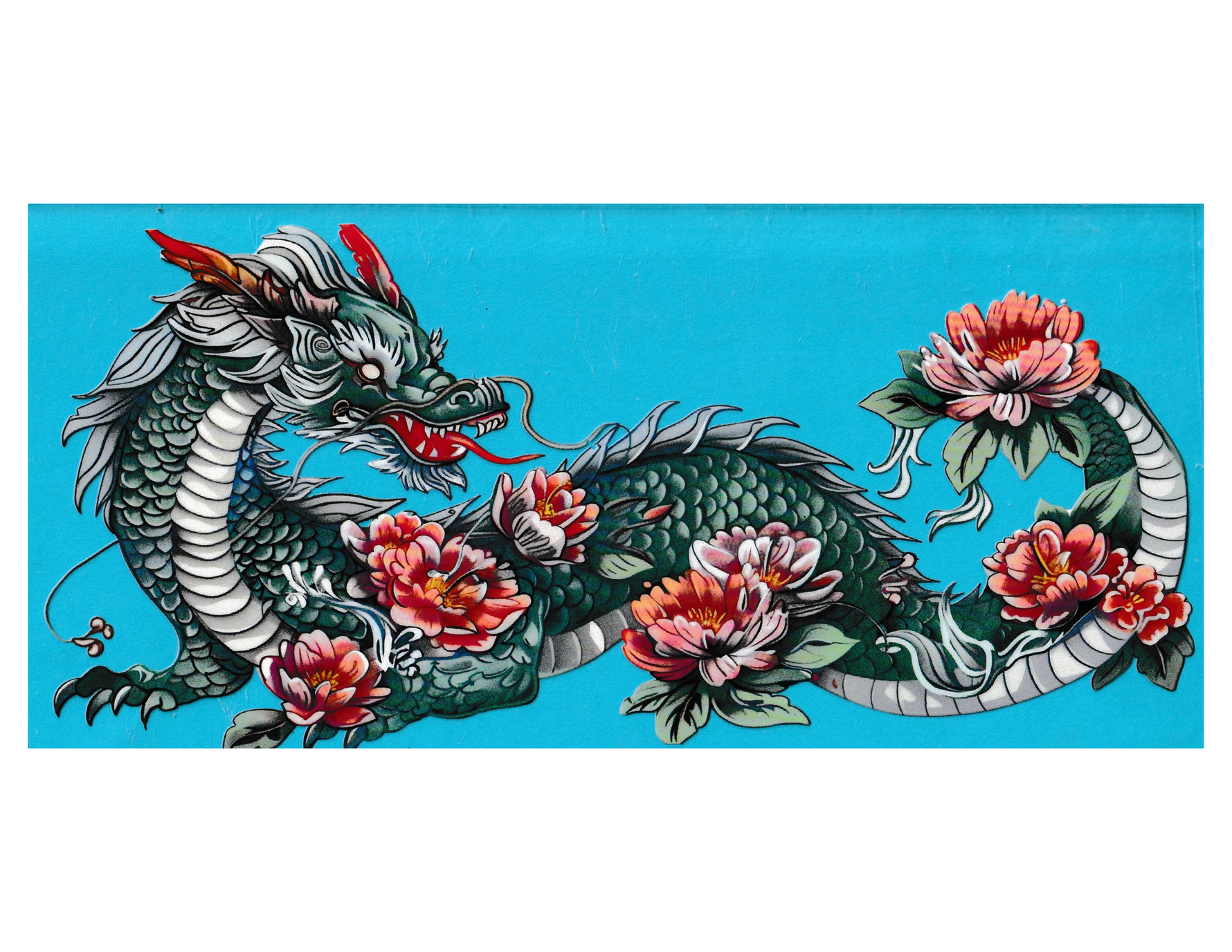 16oz Cup Wrap Dragon