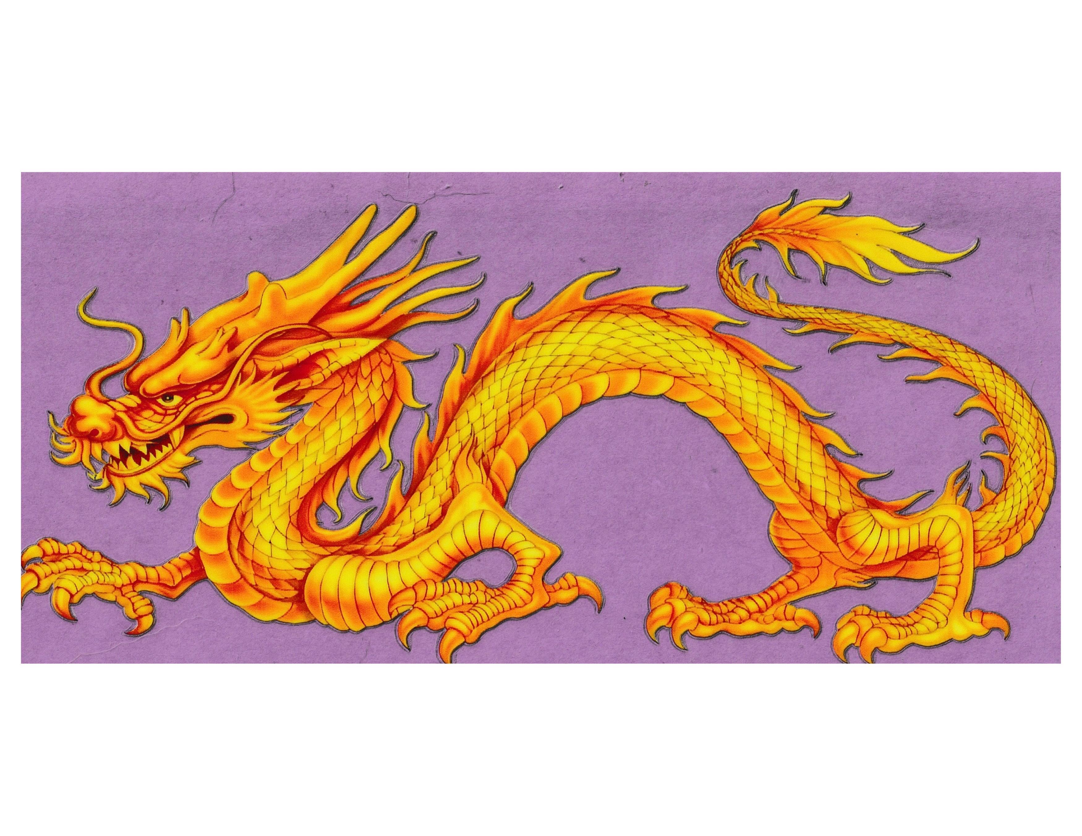16oz Cup Wrap Dragon