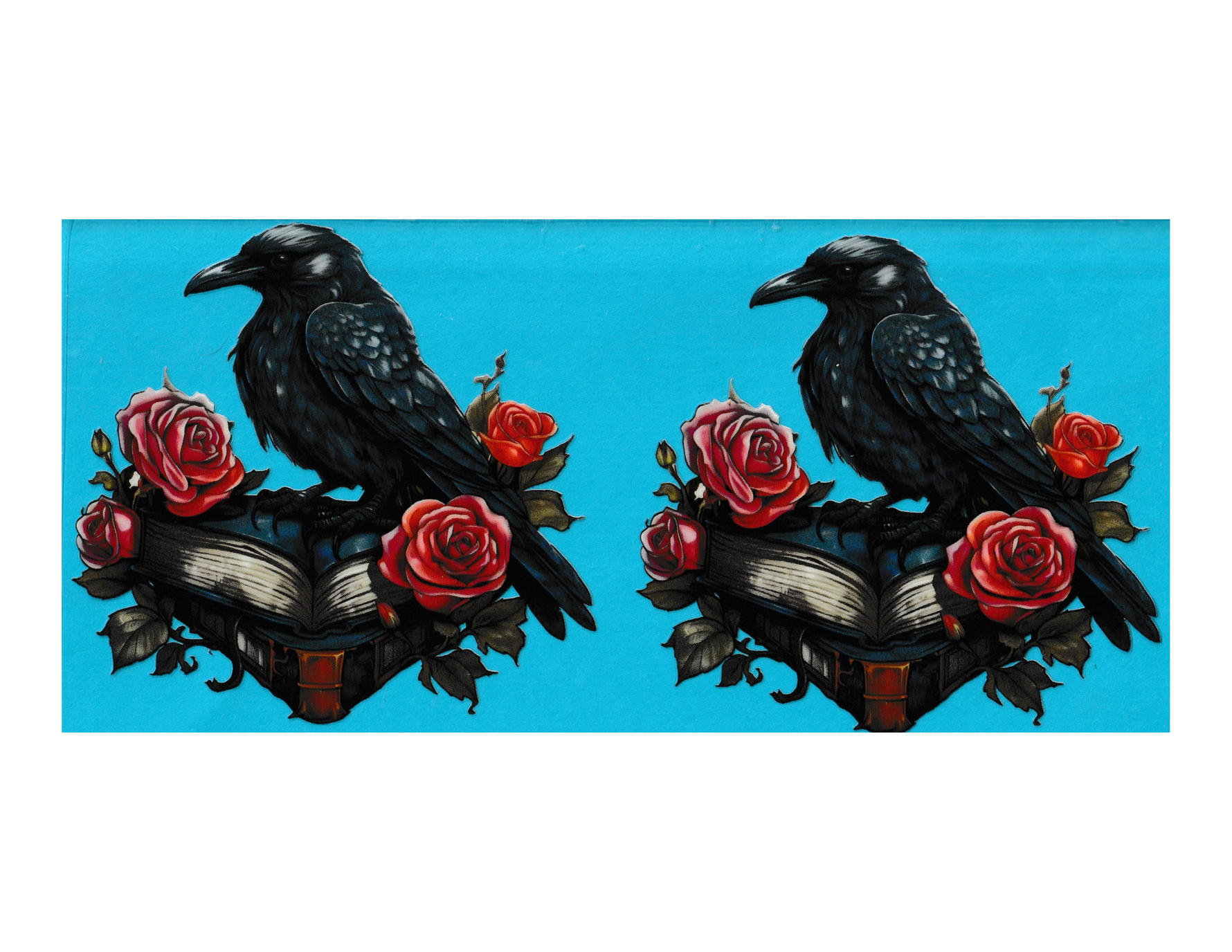 16oz Cup Wrap Raven