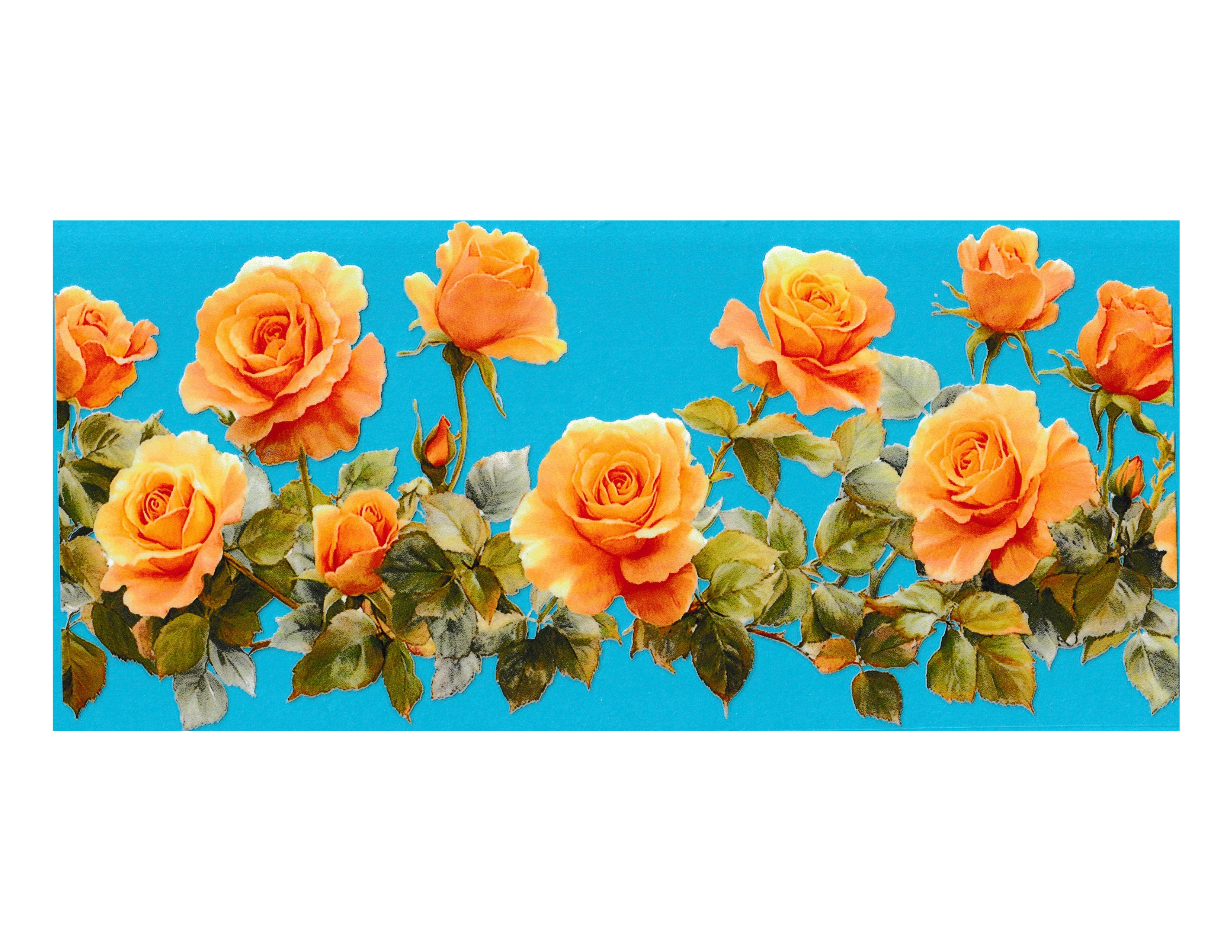 16oz Cup Wrap Roses