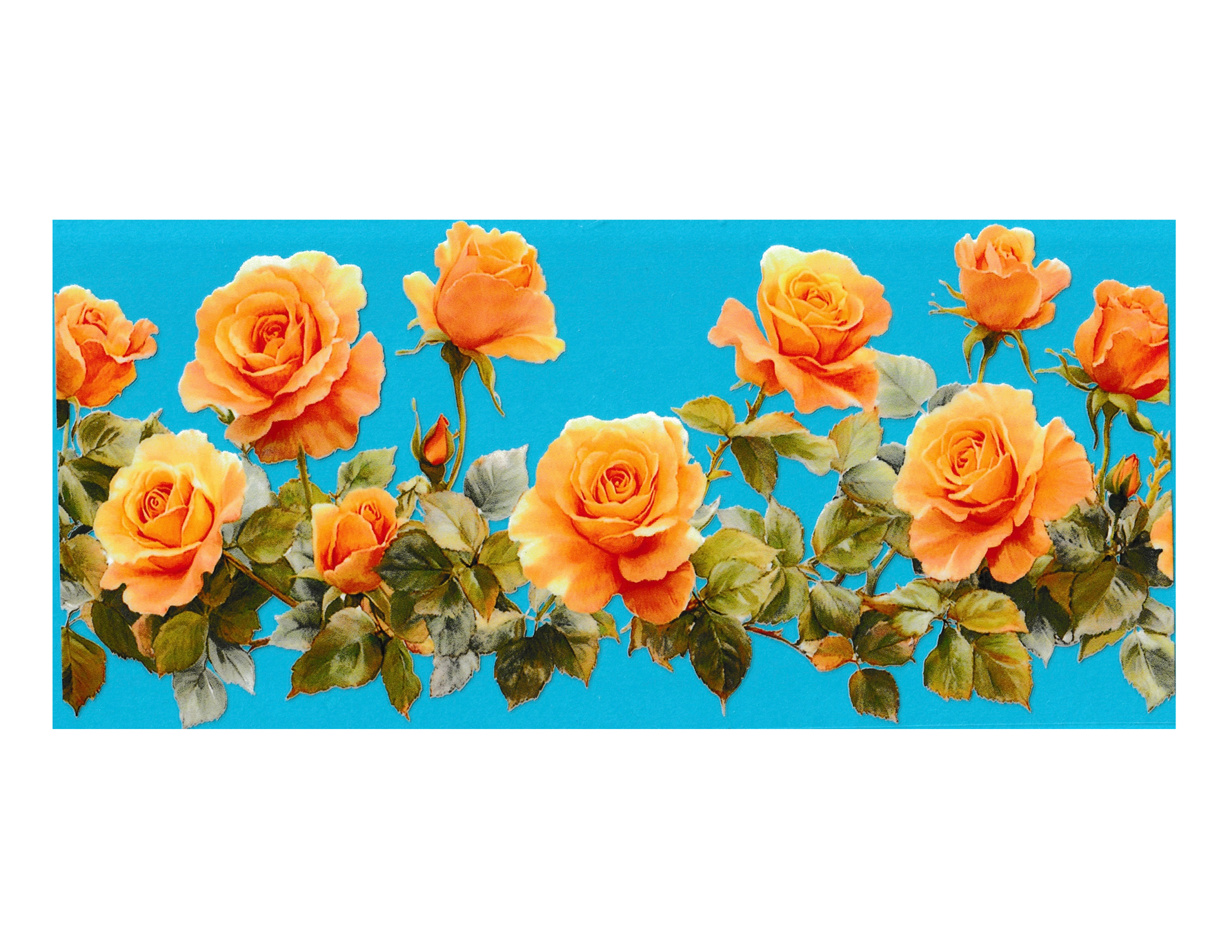 16oz Cup Wrap Roses
