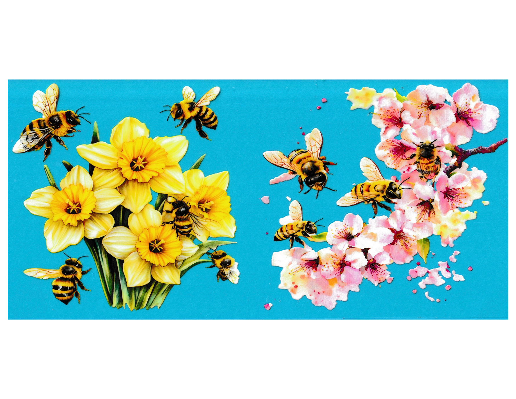 16oz Cup Wrap Bees