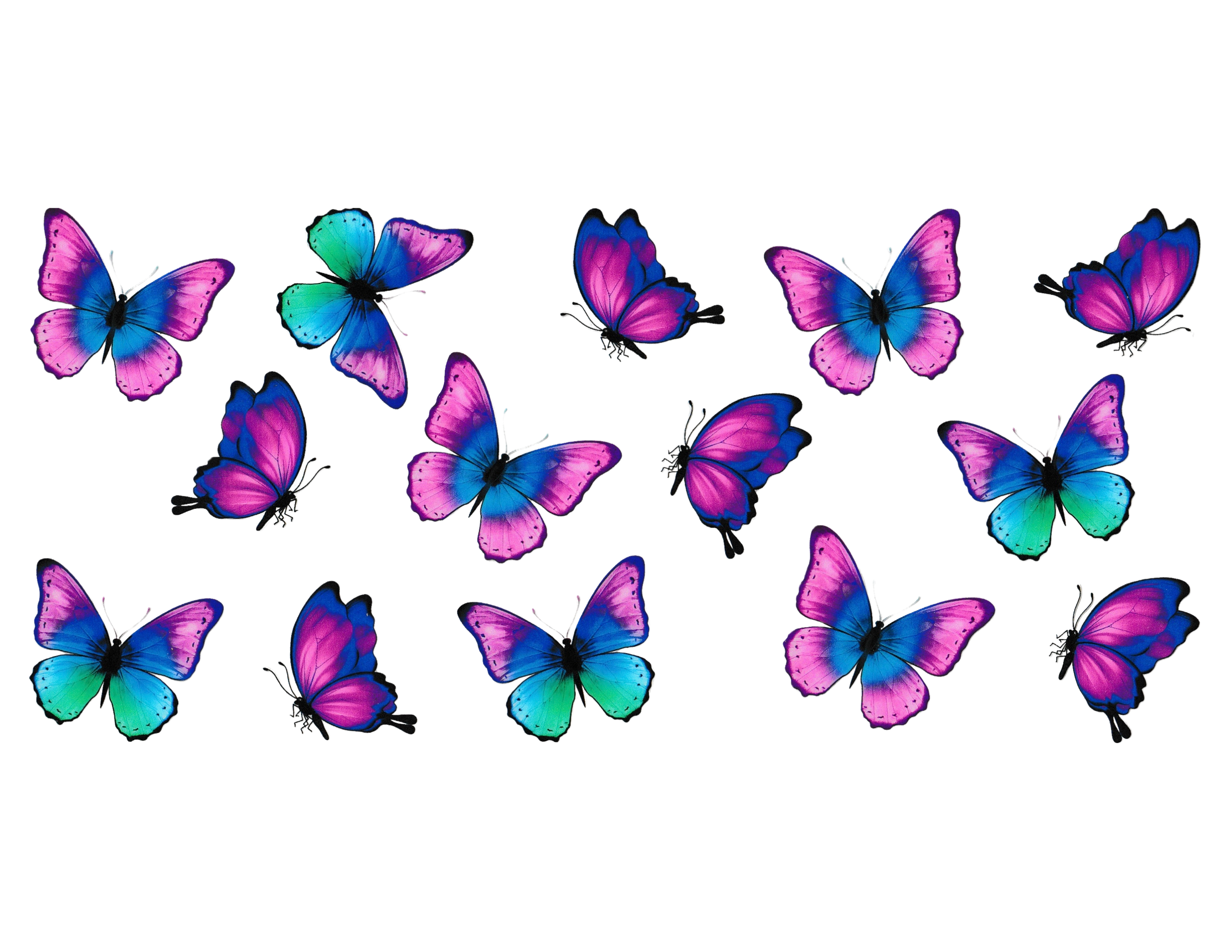 16oz Cup Wrap Butterfly