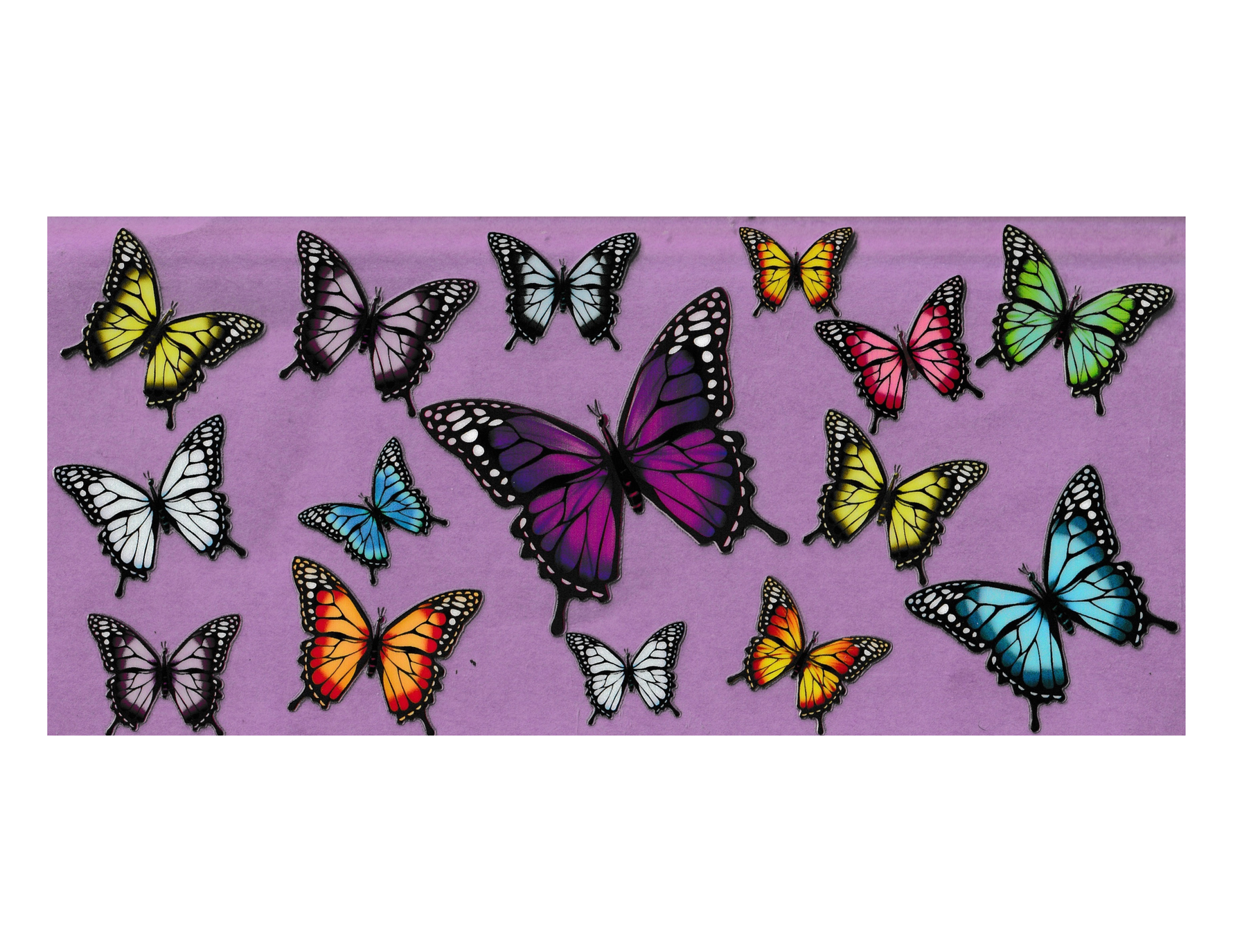 16oz Cup Wrap Butterfly